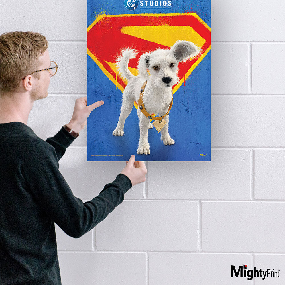 Supergirl (Krypto) MightyPrint™ Wall Art MP17241155