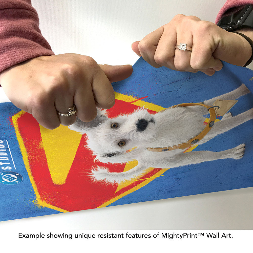 Supergirl (Krypto) MightyPrint™ Wall Art MP17241155