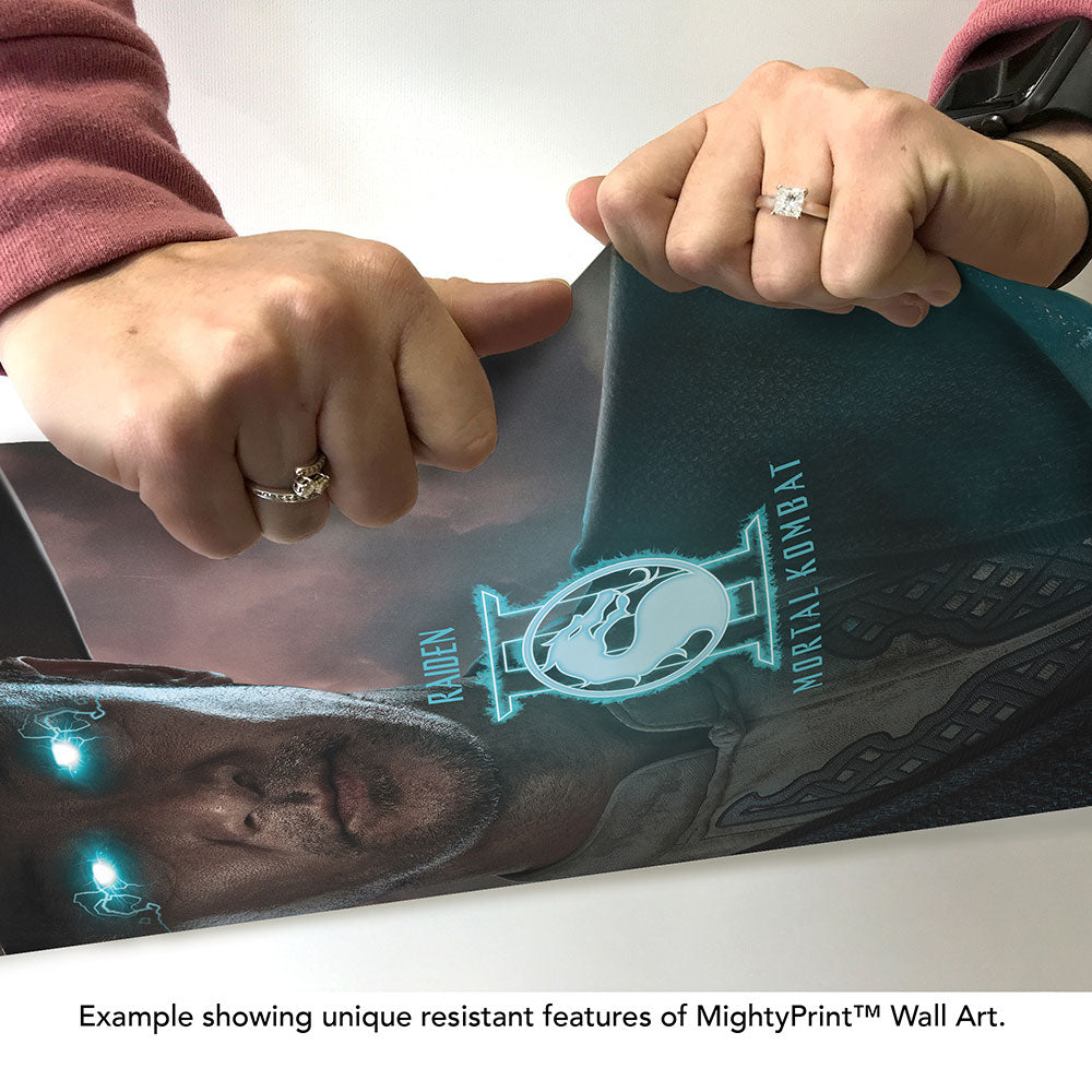 Mortal Kombat 2 (Raiden) MightyPrint™ Wall Art MP17241160