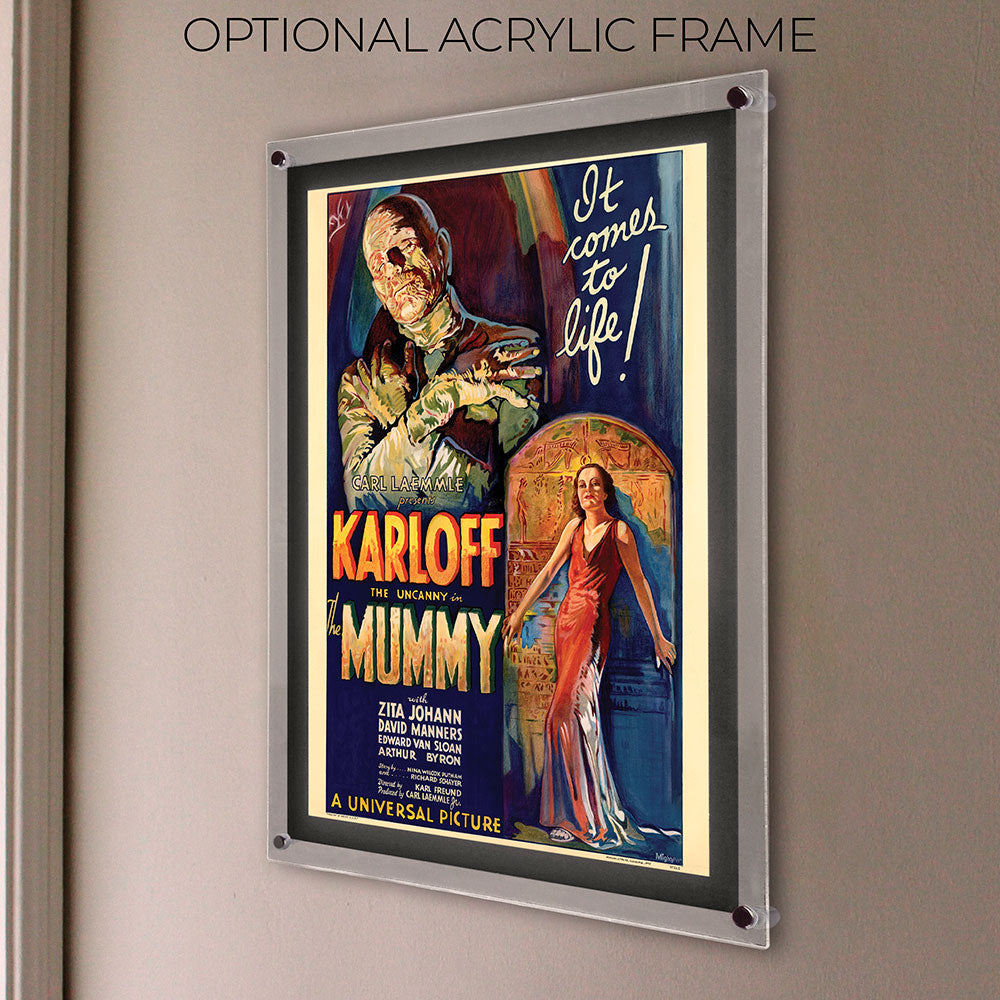 The Mummy (Karloff Vintage Poster) 17" x 24" MightyPrint™ Wall Art MP17241176
