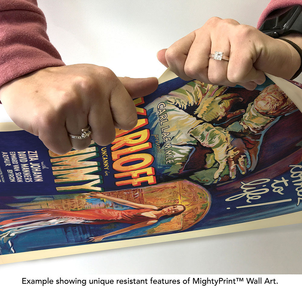 The Mummy (Karloff Vintage Poster) 17" x 24" MightyPrint™ Wall Art MP17241176