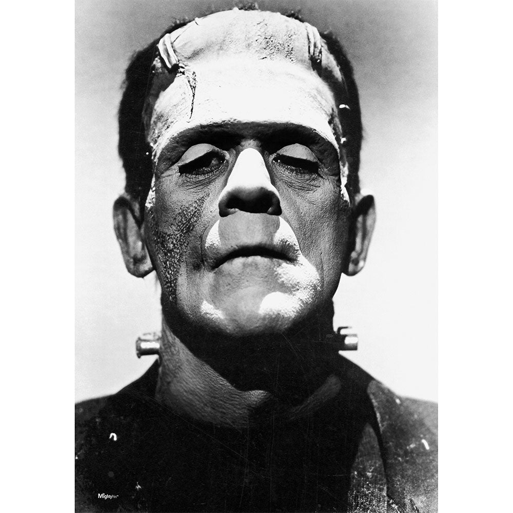 Frankenstein (Black-and-White Portrait) 17" x 24" MightyPrint™ Wall Art MP17241181