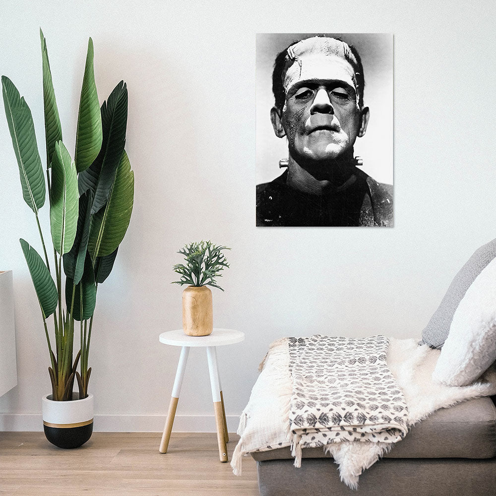 Frankenstein (Black-and-White Portrait) 17" x 24" MightyPrint™ Wall Art MP17241181