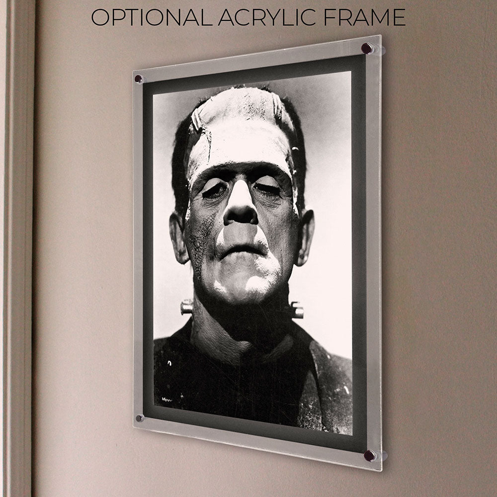 Frankenstein (Black-and-White Portrait) 17" x 24" MightyPrint™ Wall Art MP17241181
