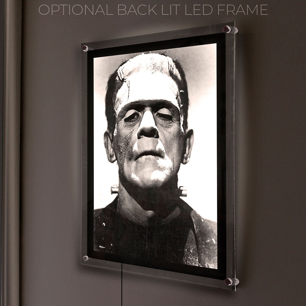 Frankenstein (Black-and-White Portrait) 17" x 24" MightyPrint™ Wall Art MP17241181