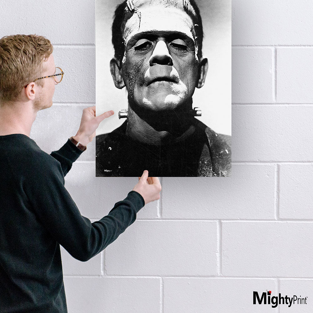 Frankenstein (Black-and-White Portrait) 17" x 24" MightyPrint™ Wall Art MP17241181