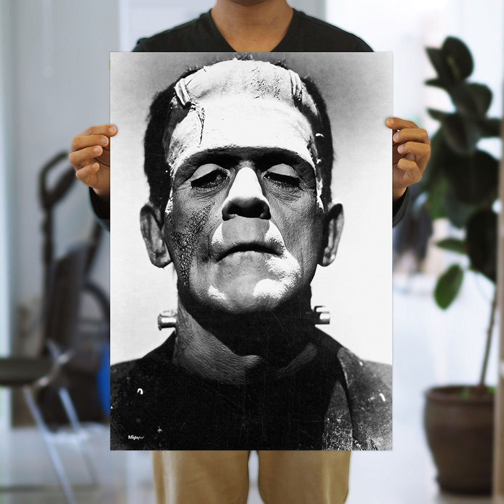 Frankenstein (Black-and-White Portrait) 17" x 24" MightyPrint™ Wall Art MP17241181