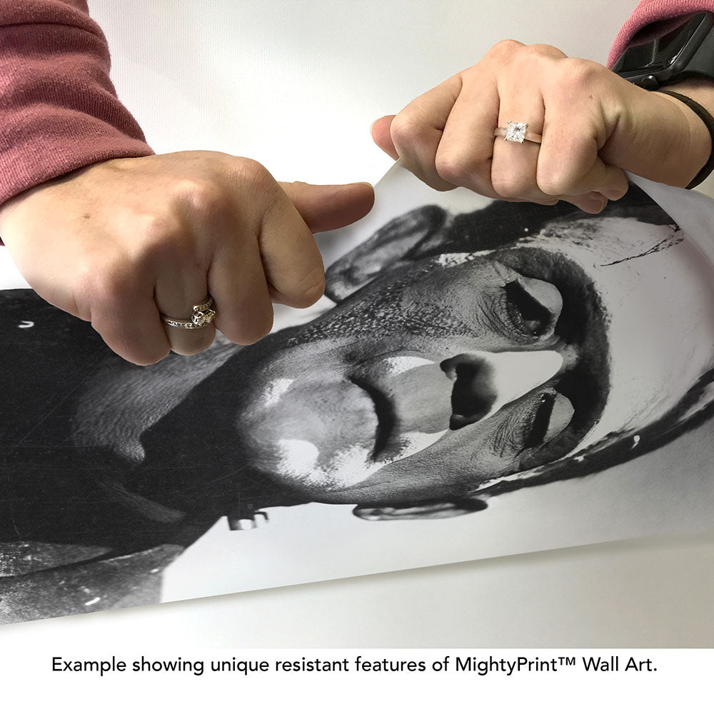 Frankenstein (Black-and-White Portrait) 17" x 24" MightyPrint™ Wall Art MP17241181
