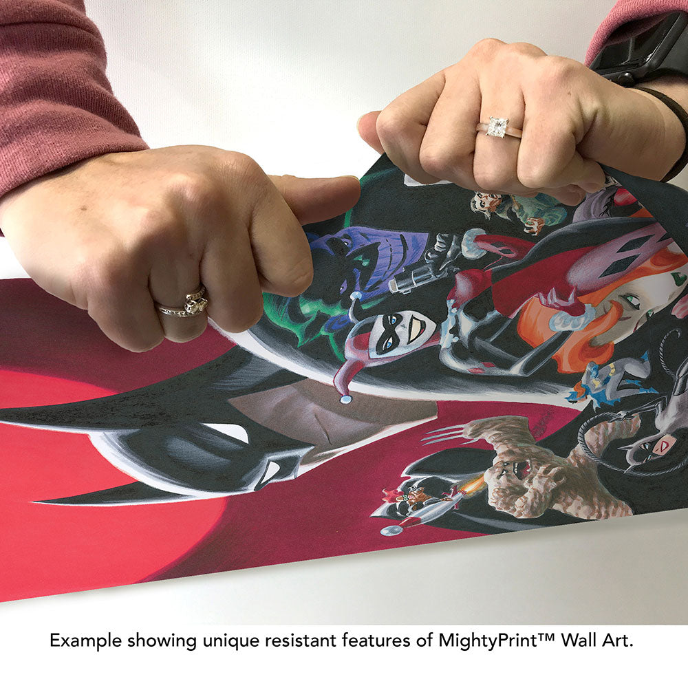 Batman (Villain Lineup) 17” x 24” MightyPrint™ Wall Art MP17241191
