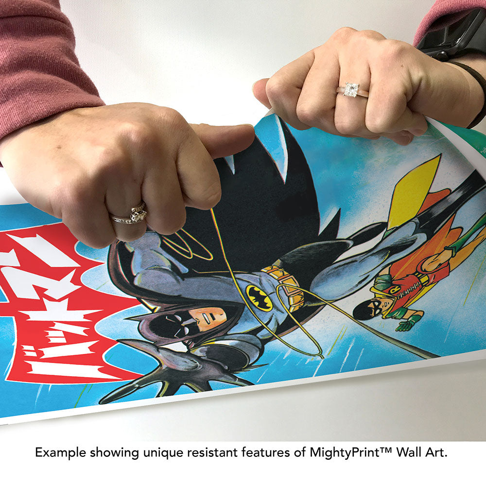 Batman (Batman and Robin - Bat Manga #20) 17” x 24” MightyPrint™ Wall Art MP17241193