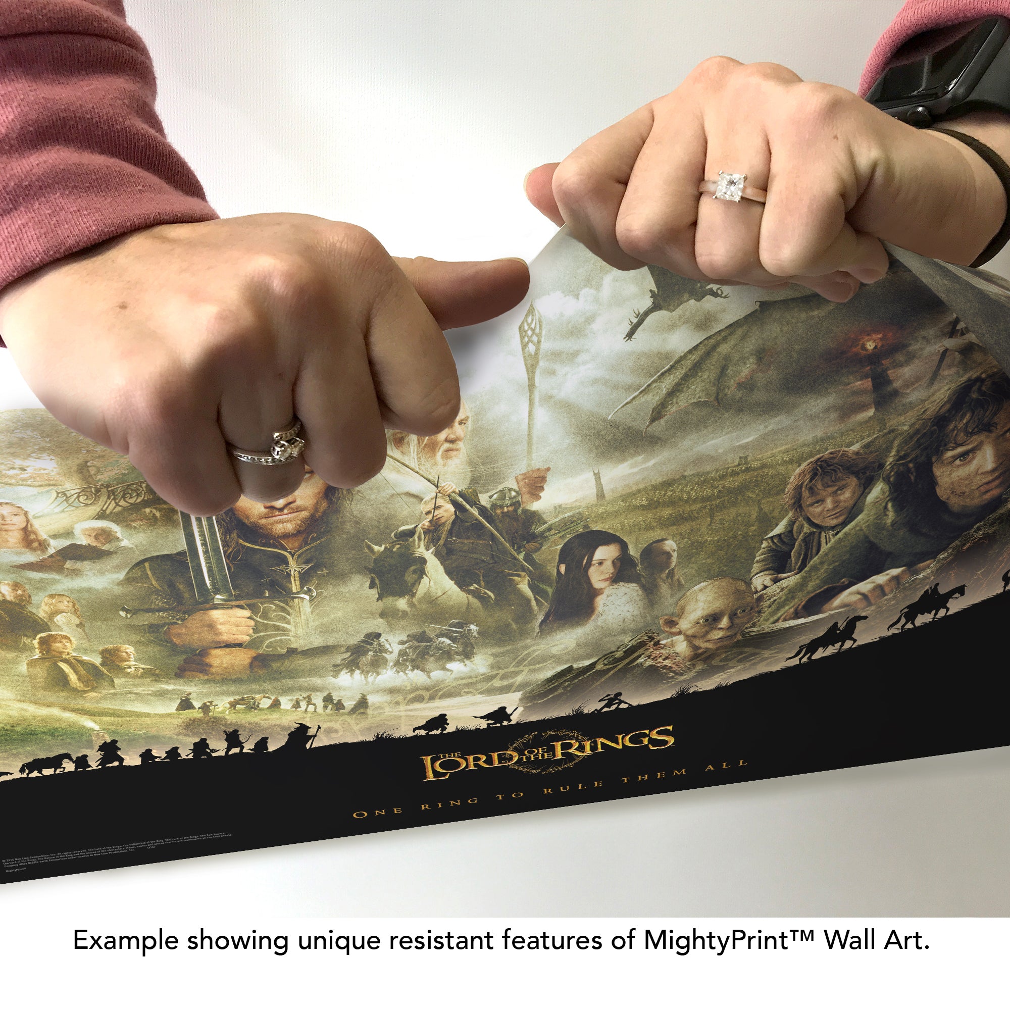 The Lord of the Rings (The Journey) MightyPrintTM Wall Art MP24170120