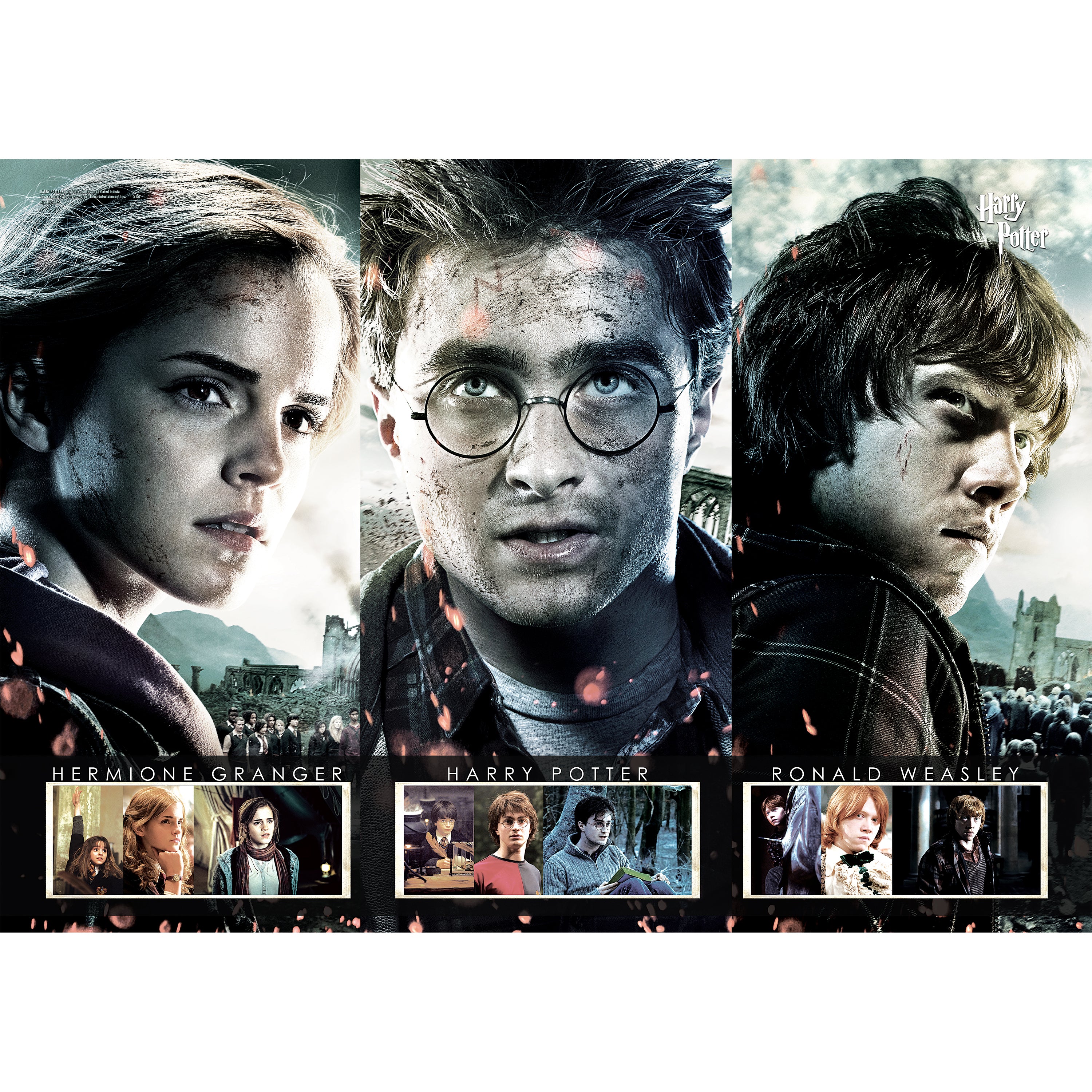 Harry Potter (Beginning to End) MightyPrint™ Wall Art MP24170124