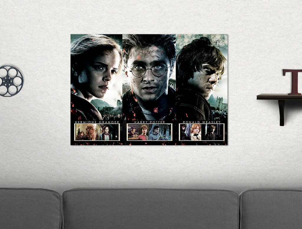 Harry Potter (Beginning to End) MightyPrint™ Wall Art MP24170124