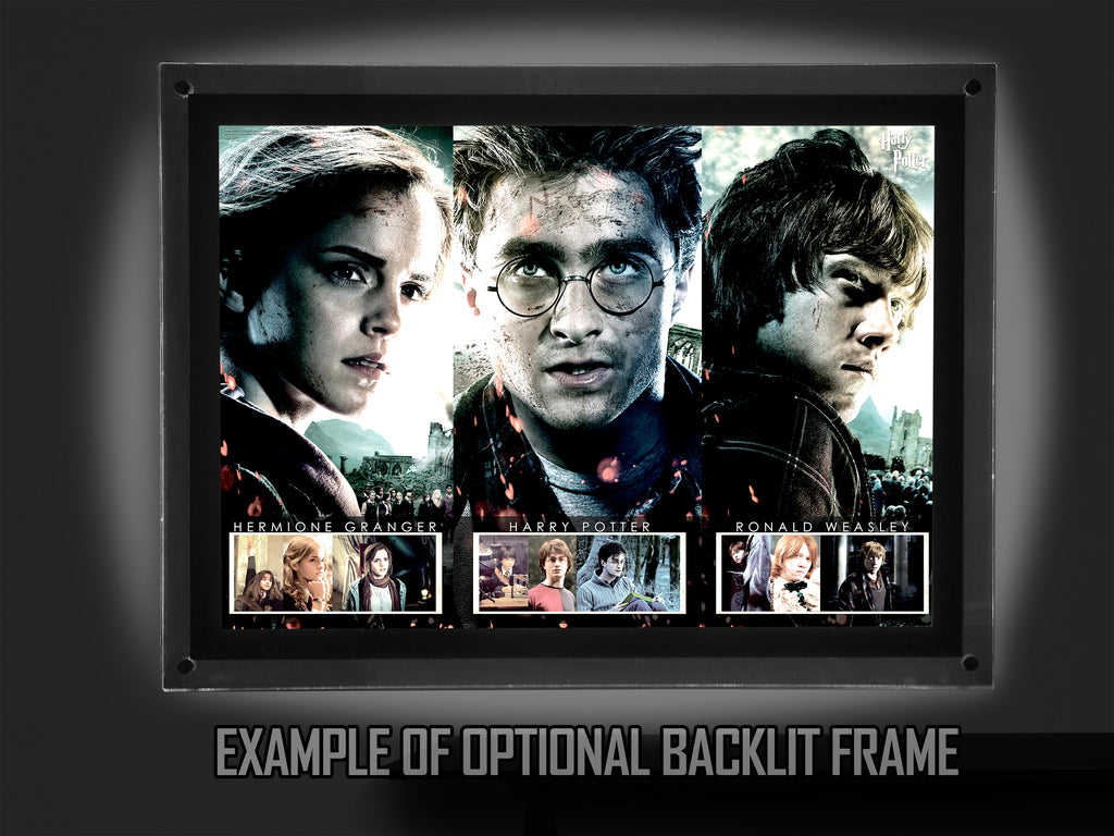 Harry Potter (Beginning to End) MightyPrint™ Wall Art MP24170124