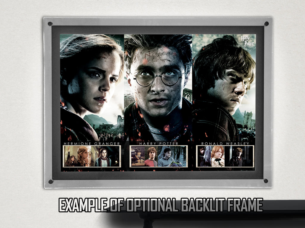 Harry Potter (Beginning to End) MightyPrint™ Wall Art MP24170124