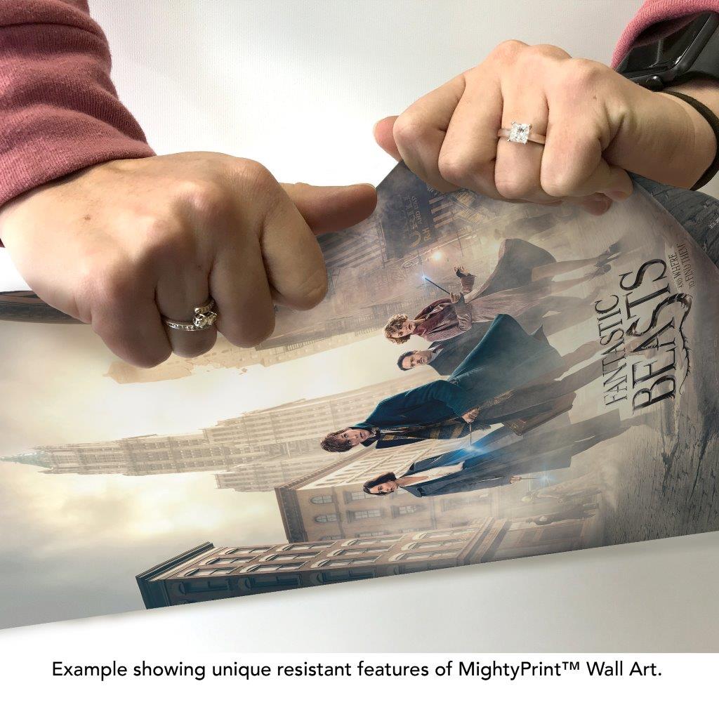 Fantastic Beasts And Where To Find Them (Magic In New York) MightyPrint™ Wall Art MP17240290