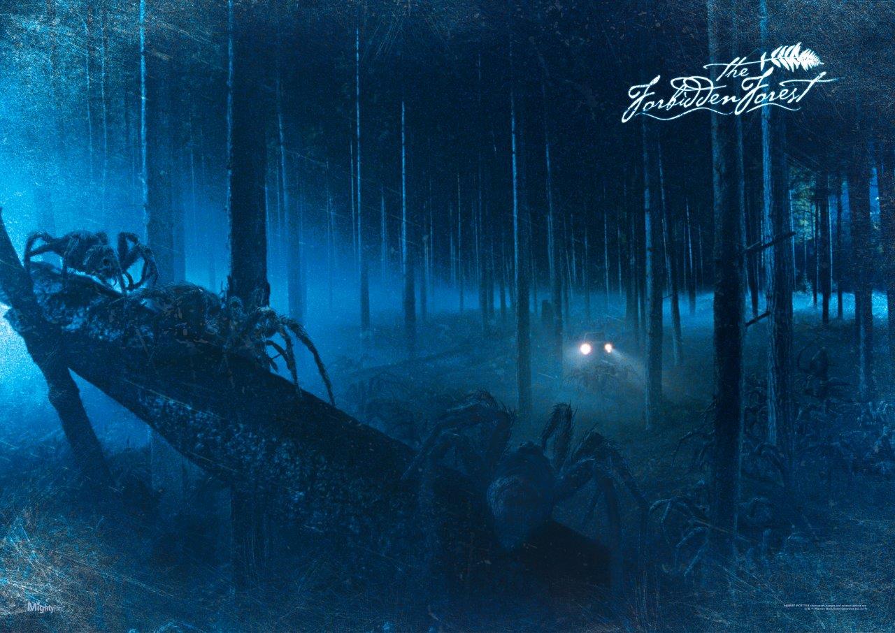 Harry Potter (Forbidden Forest) MightyPrint™ Wall Art MP24170358