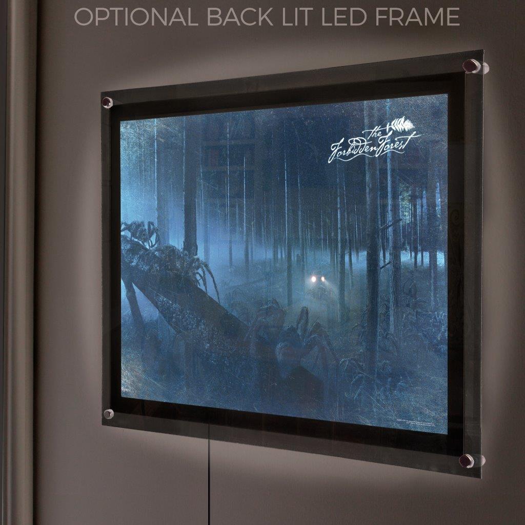 Harry Potter (Forbidden Forest) MightyPrint™ Wall Art MP24170358