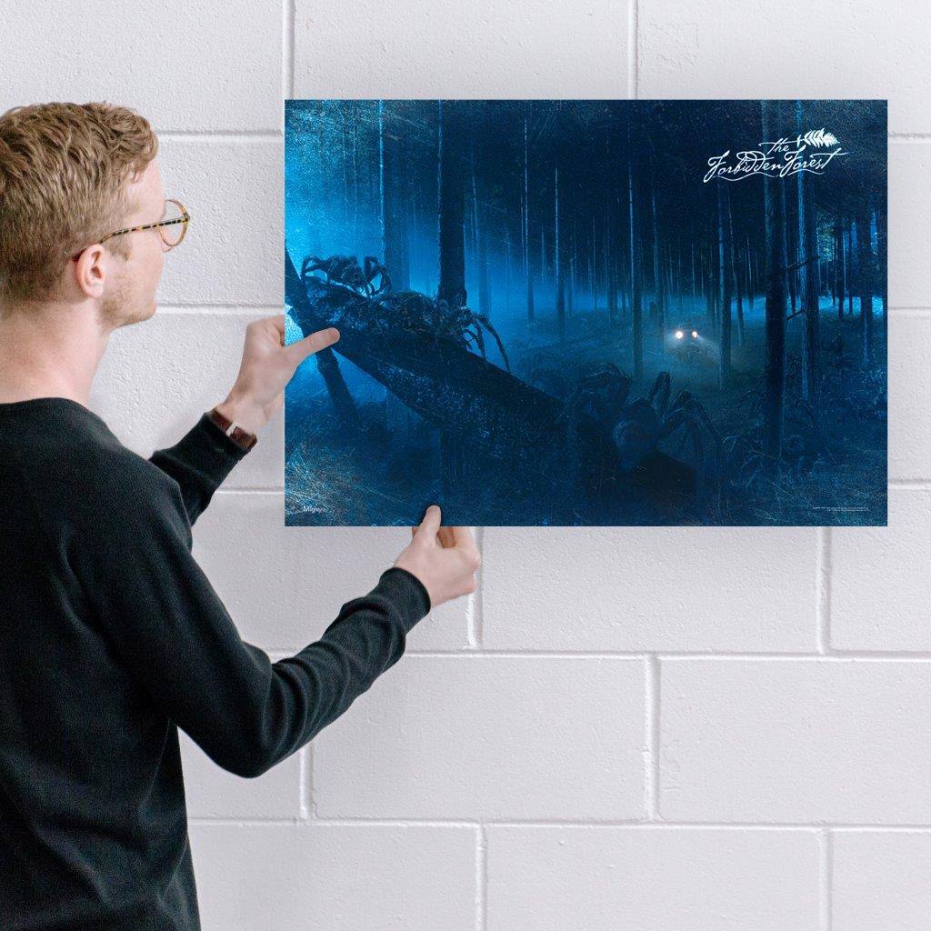 Harry Potter (Forbidden Forest) MightyPrint™ Wall Art MP24170358