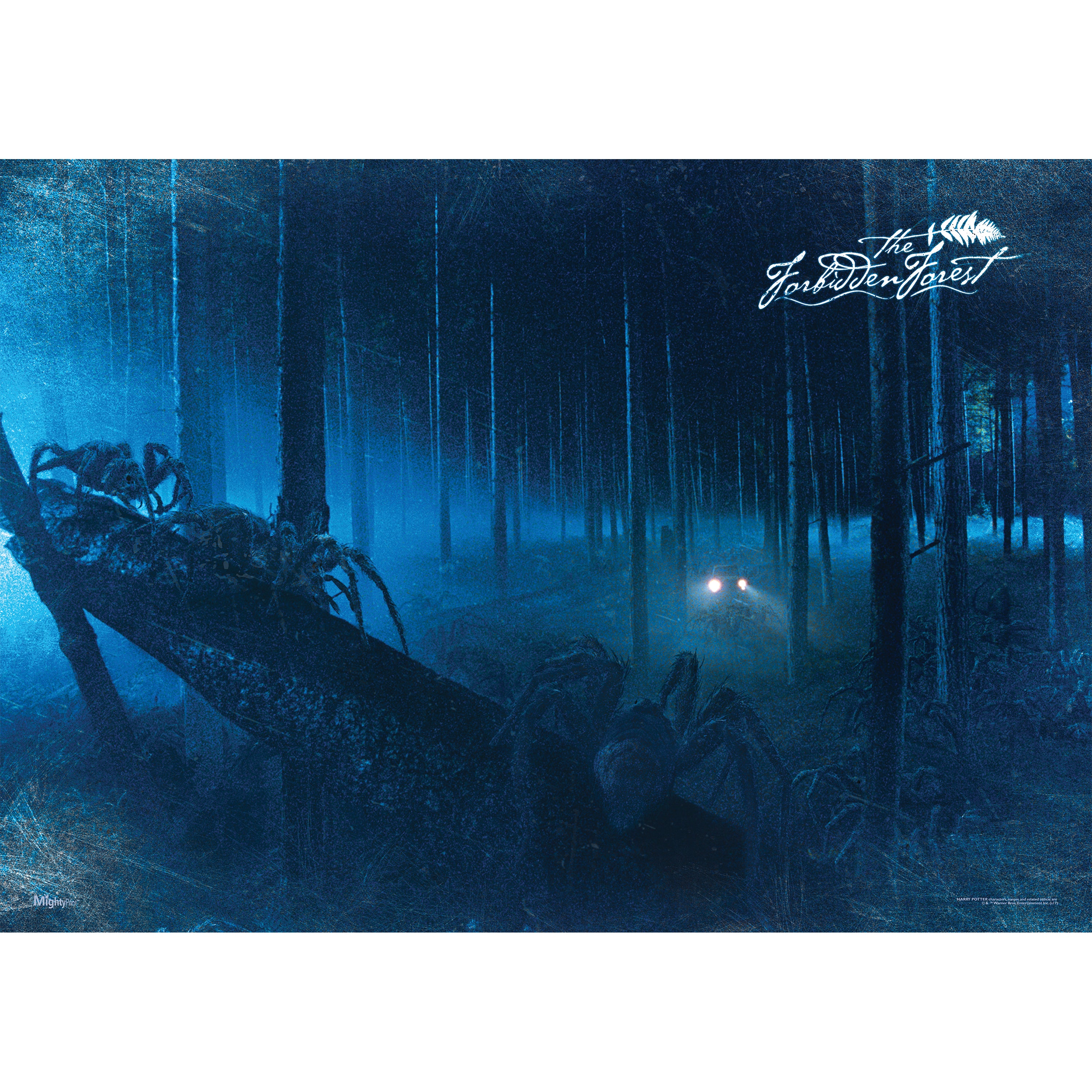 Harry Potter (Forbidden Forest) MightyPrint™ Wall Art MP24170358