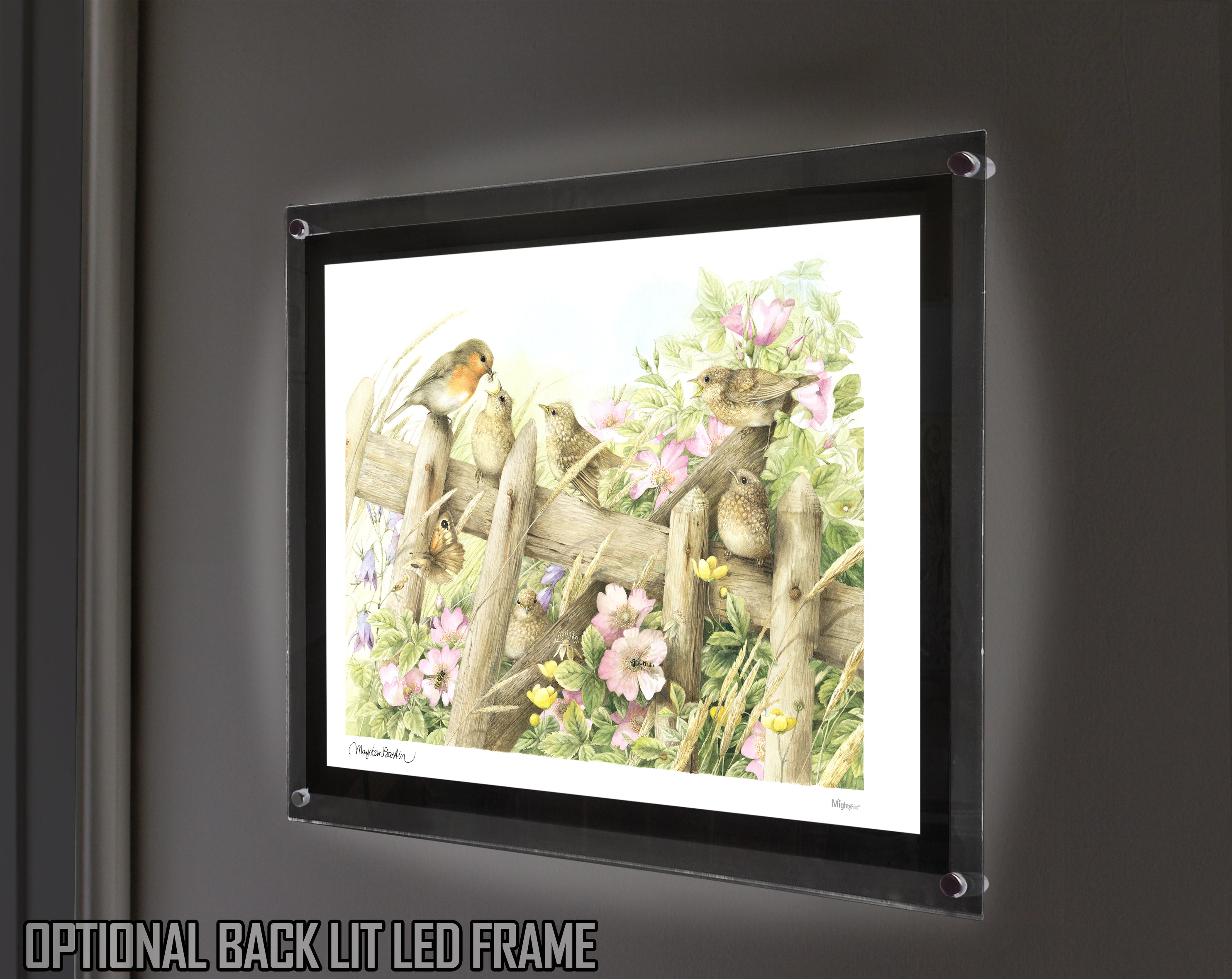 Marjolein Bastin (Baby Birds in Spring) MightyPrint™ Wall Art MP24170400