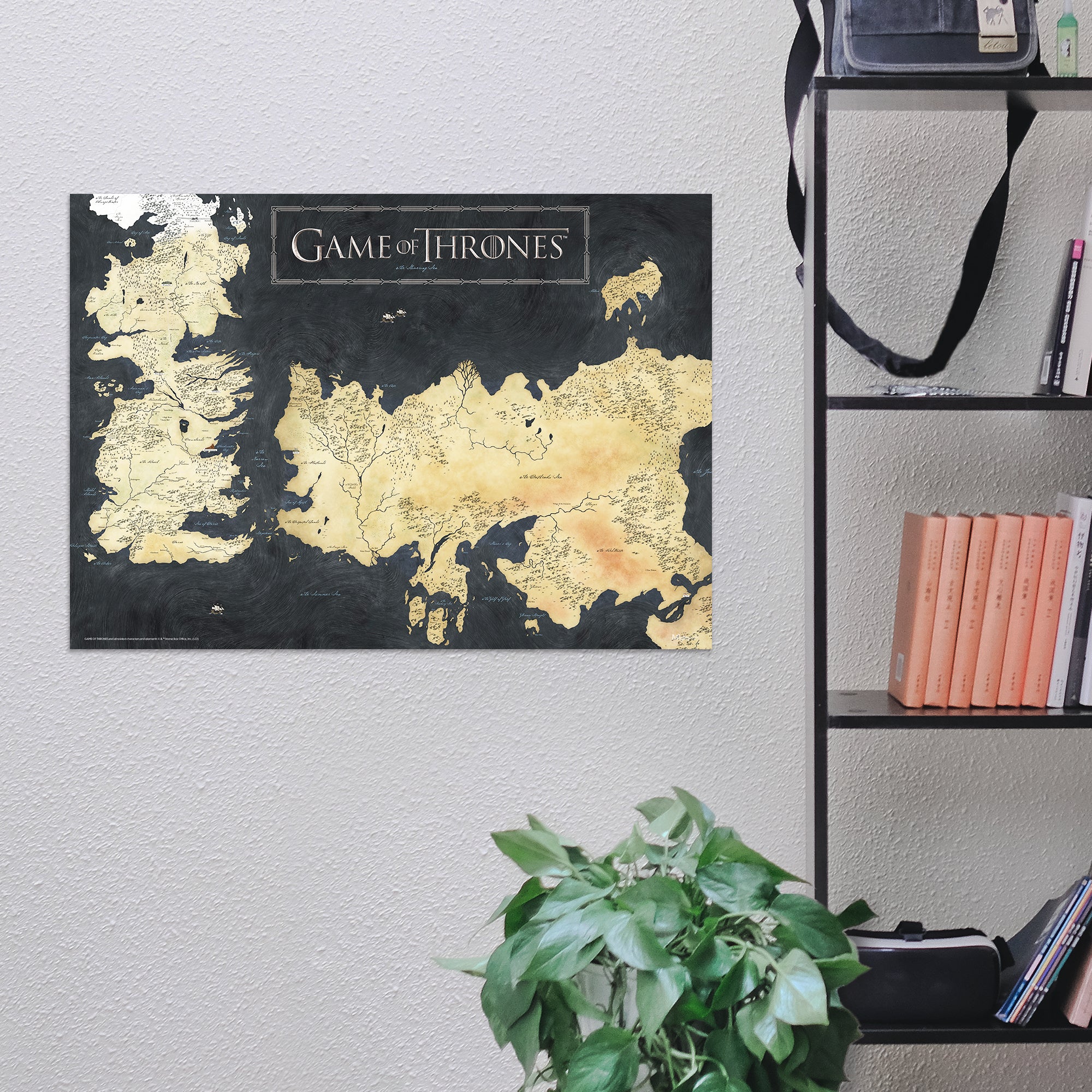 Game of Thrones (Westeros Map) MightyPrint™ Wall Art MP24170764