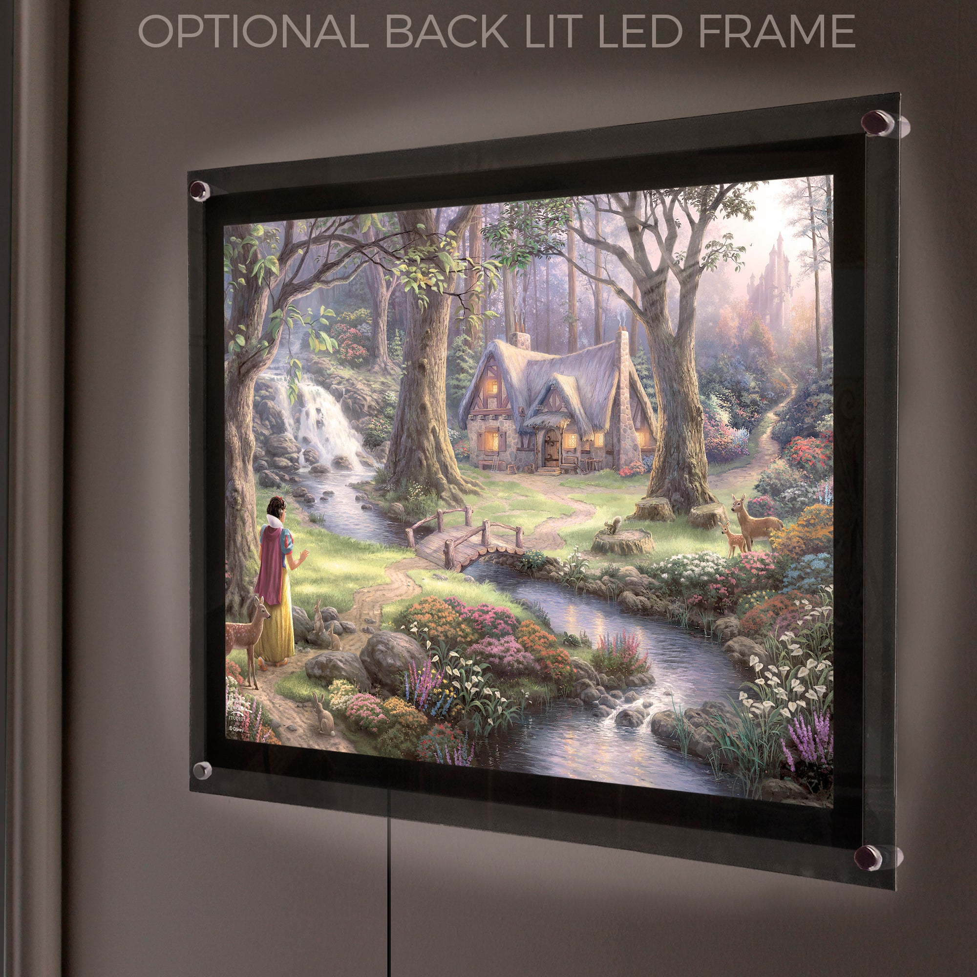 Disney (Snow White Discovers the Cottage) MightyPrint™ Wall Art MP24170815