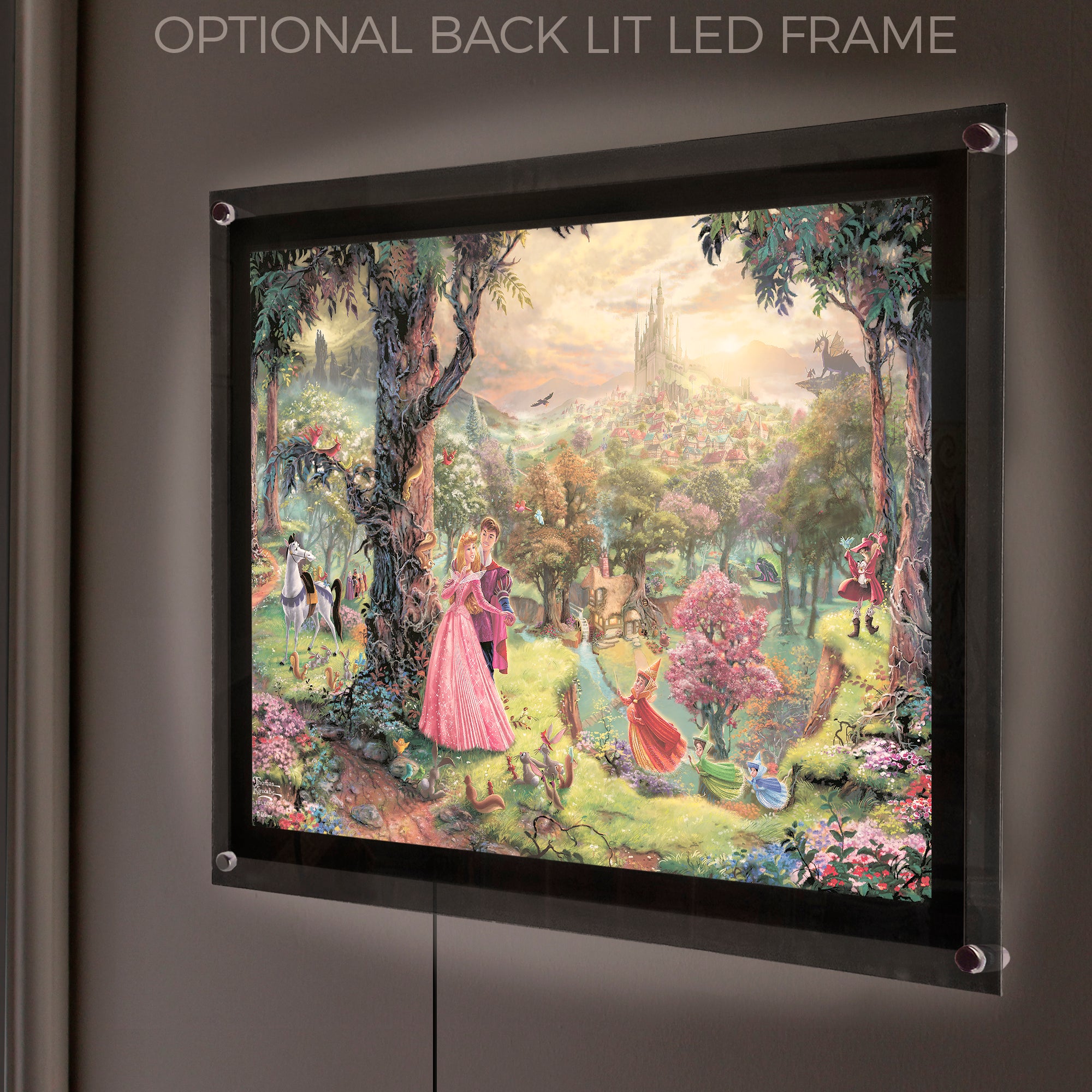 Disney (Sleeping Beauty) MightyPrint™ Wall Art MP24170816