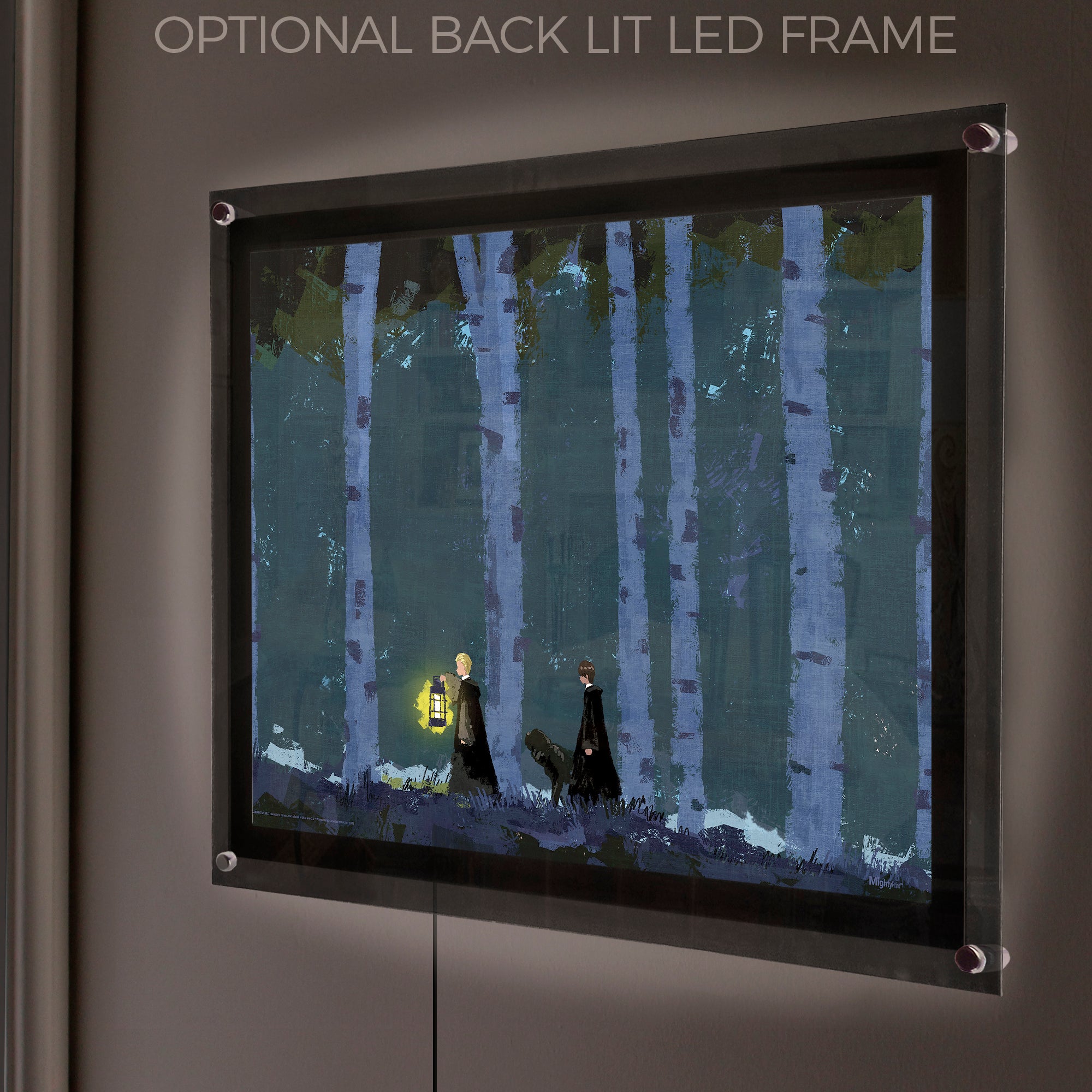 Harry Potter (Dark Forest with Harry and Malfoy) MightyPrint™ Wall Art MP24170893