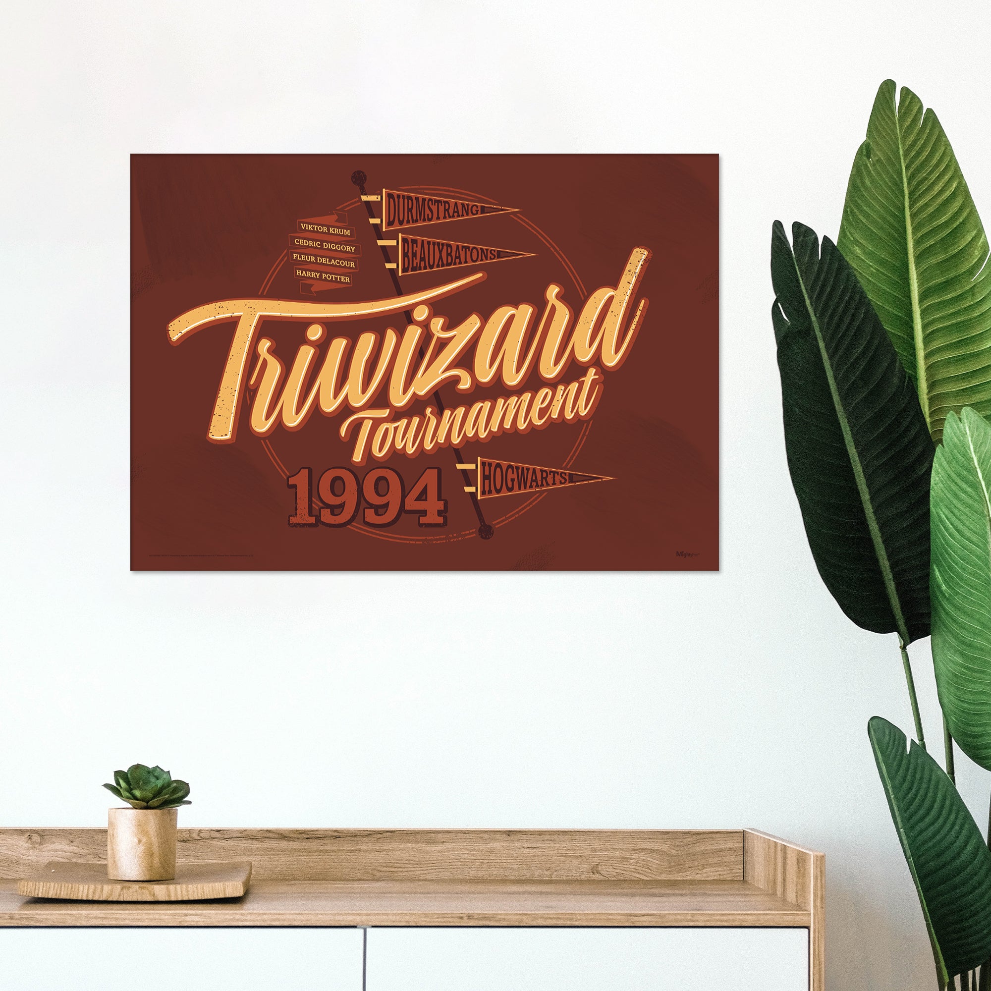 Harry Potter (Triwizard Tournament) MightyPrint™ Wall Art MP24170904