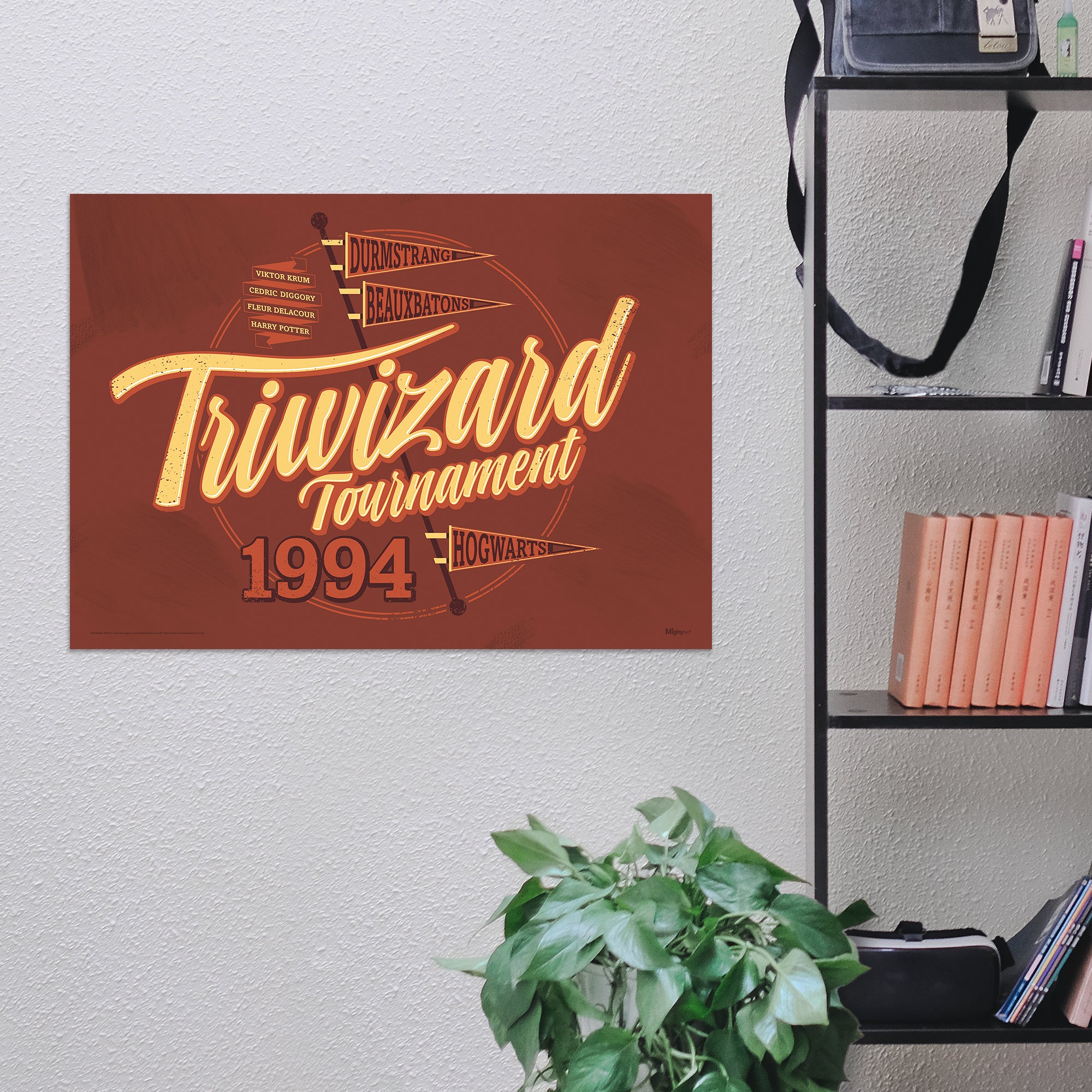 Harry Potter (Triwizard Tournament) MightyPrint™ Wall Art MP24170904