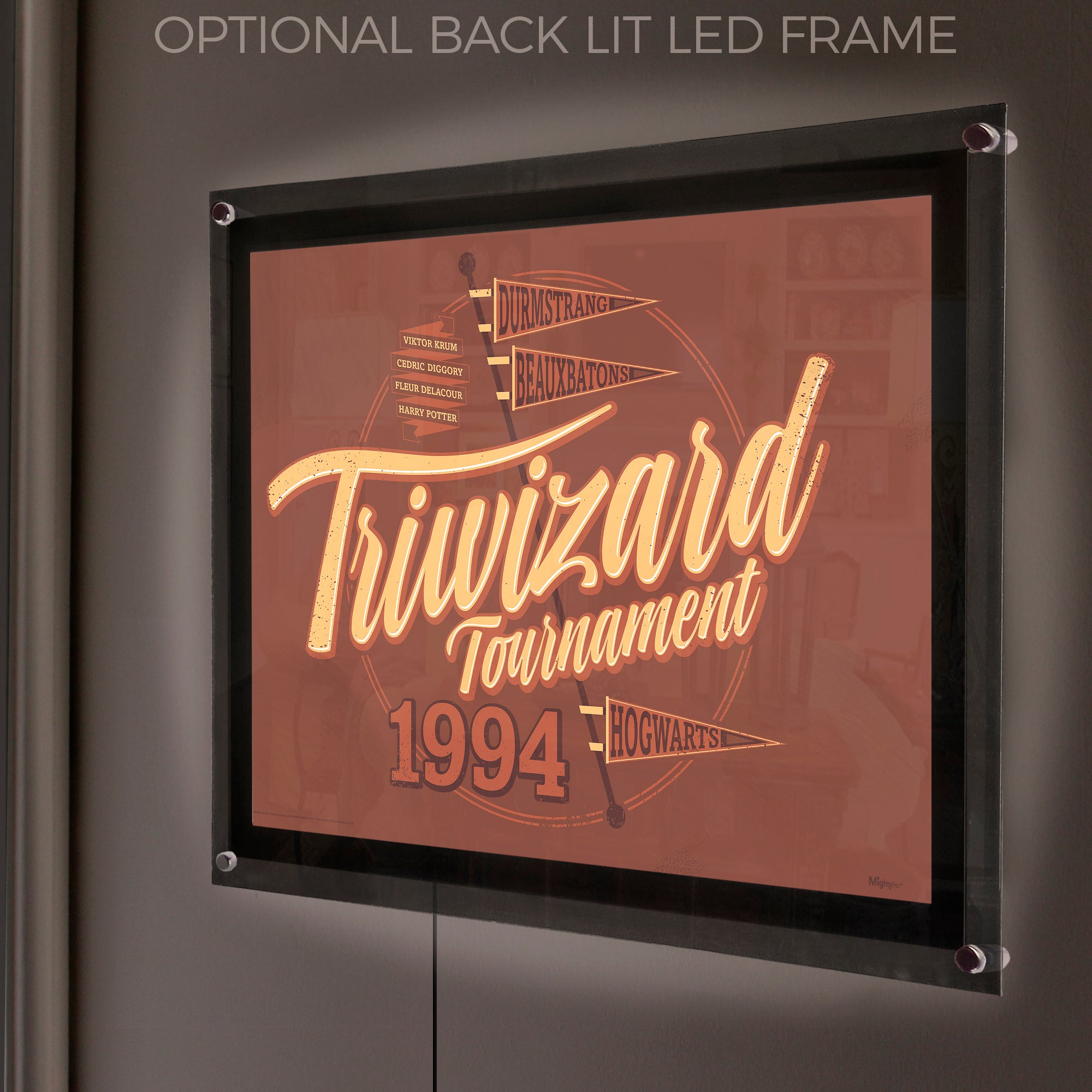 Harry Potter (Triwizard Tournament) MightyPrint™ Wall Art MP24170904