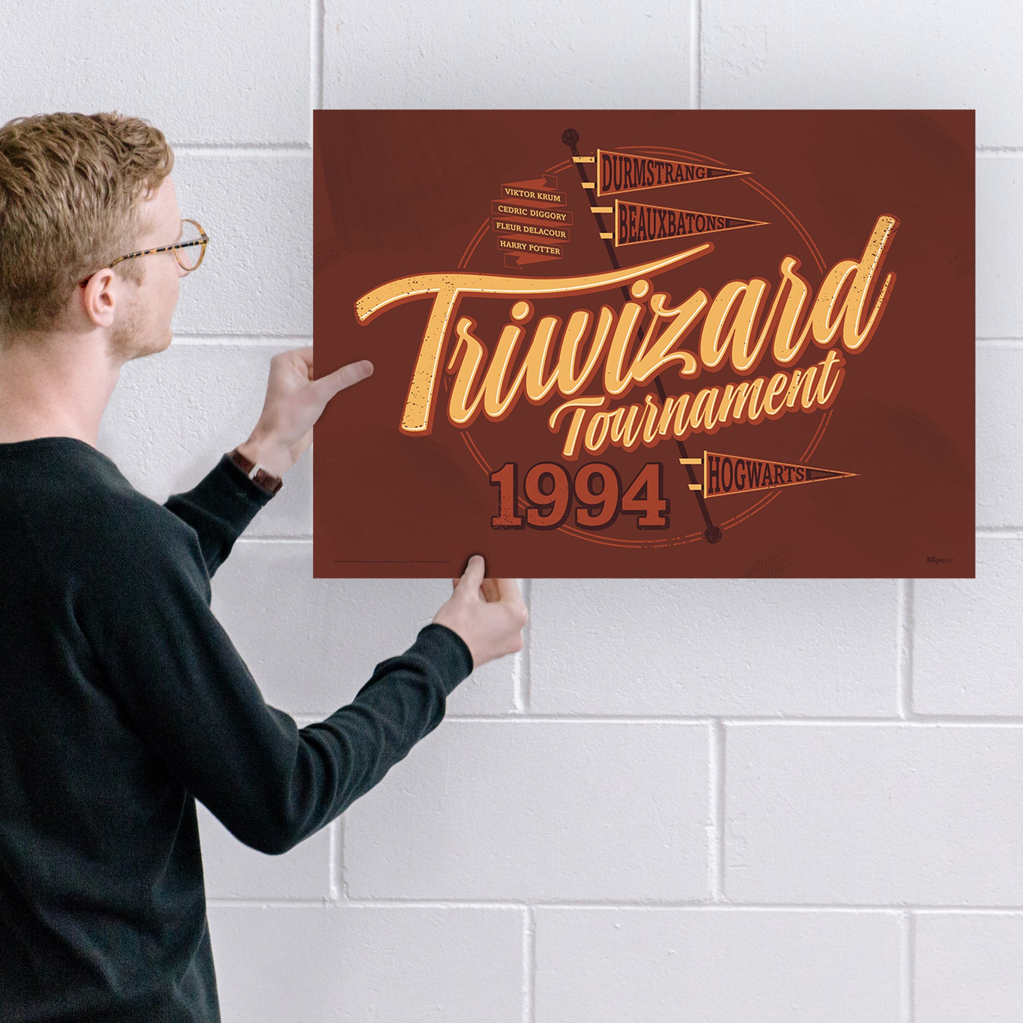 Harry Potter (Triwizard Tournament) MightyPrint™ Wall Art MP24170904