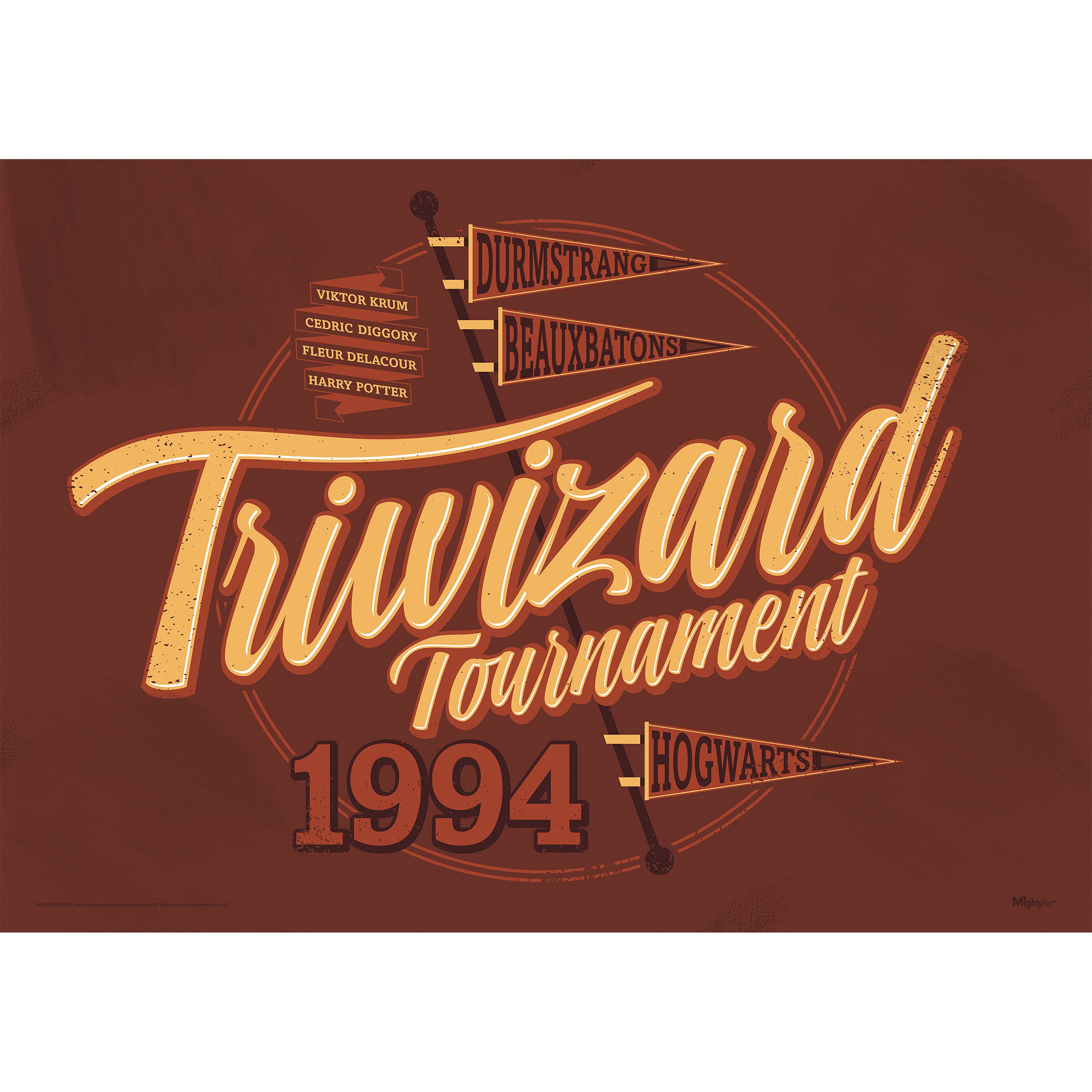 Harry Potter (Triwizard Tournament) MightyPrint™ Wall Art MP24170904
