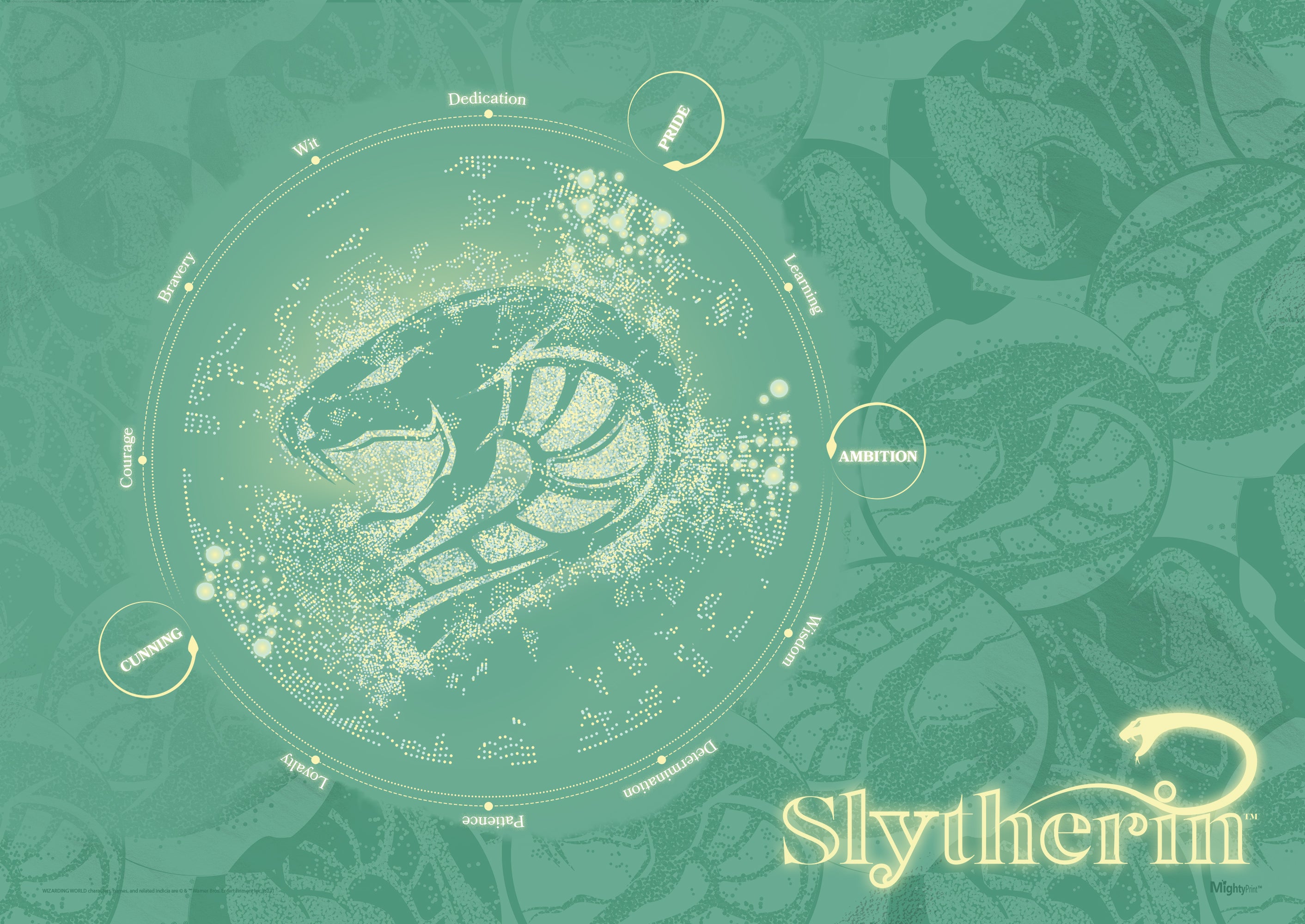 Harry Potter (Measure Your Magic - Slytherin) MightyPrint™ Wall Art MP24170907