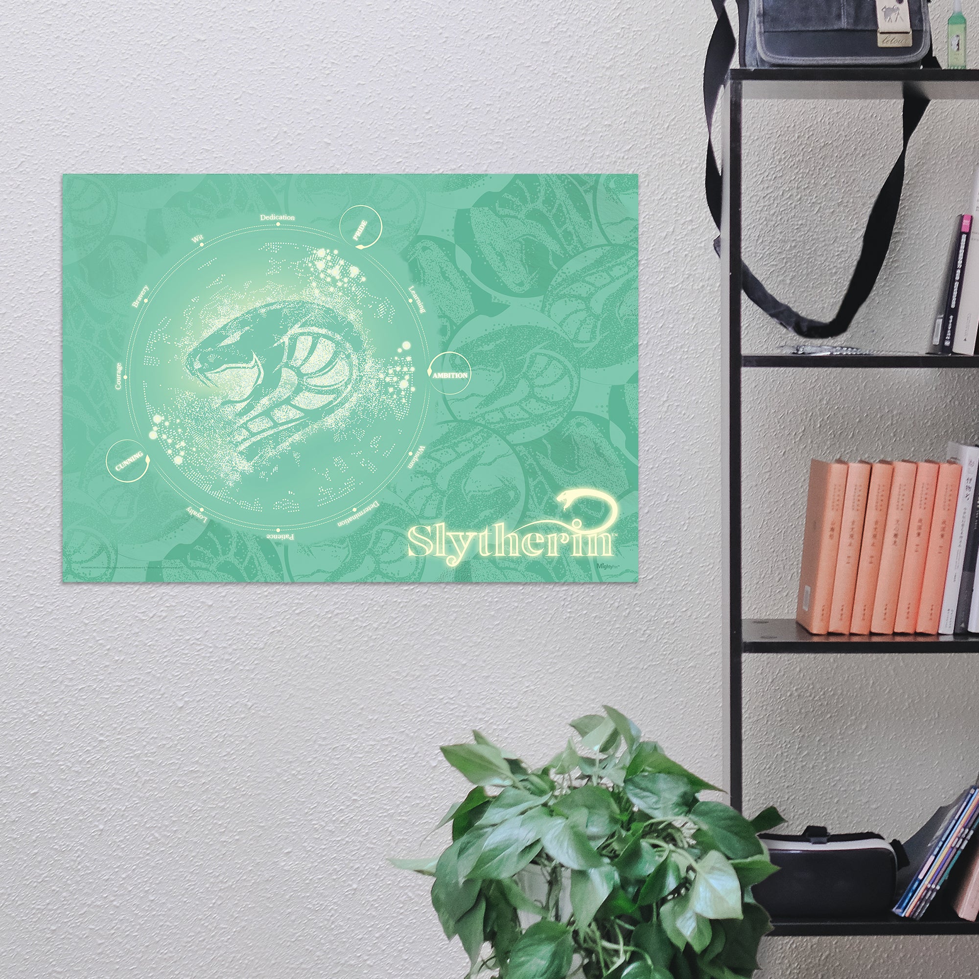 Harry Potter (Measure Your Magic - Slytherin) MightyPrint™ Wall Art MP24170907