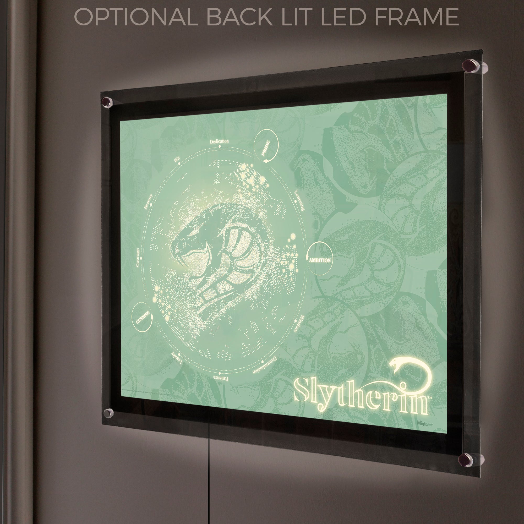 Harry Potter (Measure Your Magic - Slytherin) MightyPrint™ Wall Art MP24170907