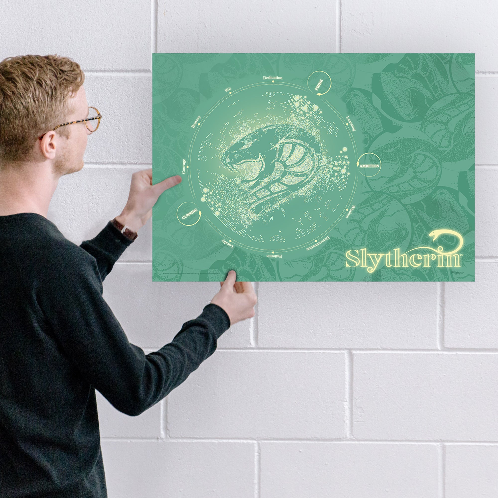 Harry Potter (Measure Your Magic - Slytherin) MightyPrint™ Wall Art MP24170907