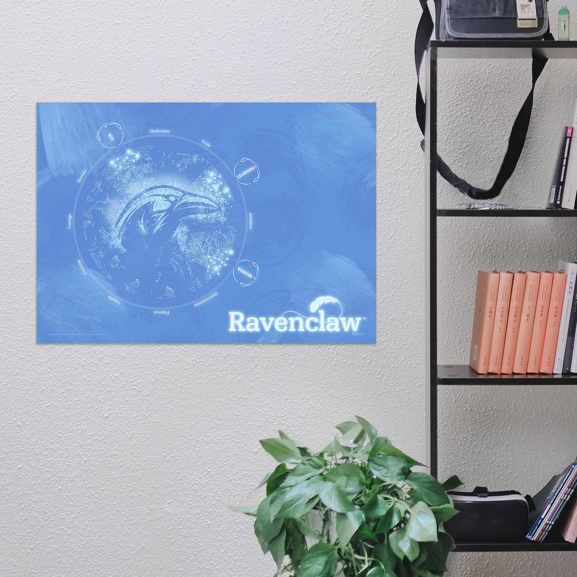 Harry Potter (Measure Your Magic - Ravenclaw) MightyPrint™ Wall Art MP24170908