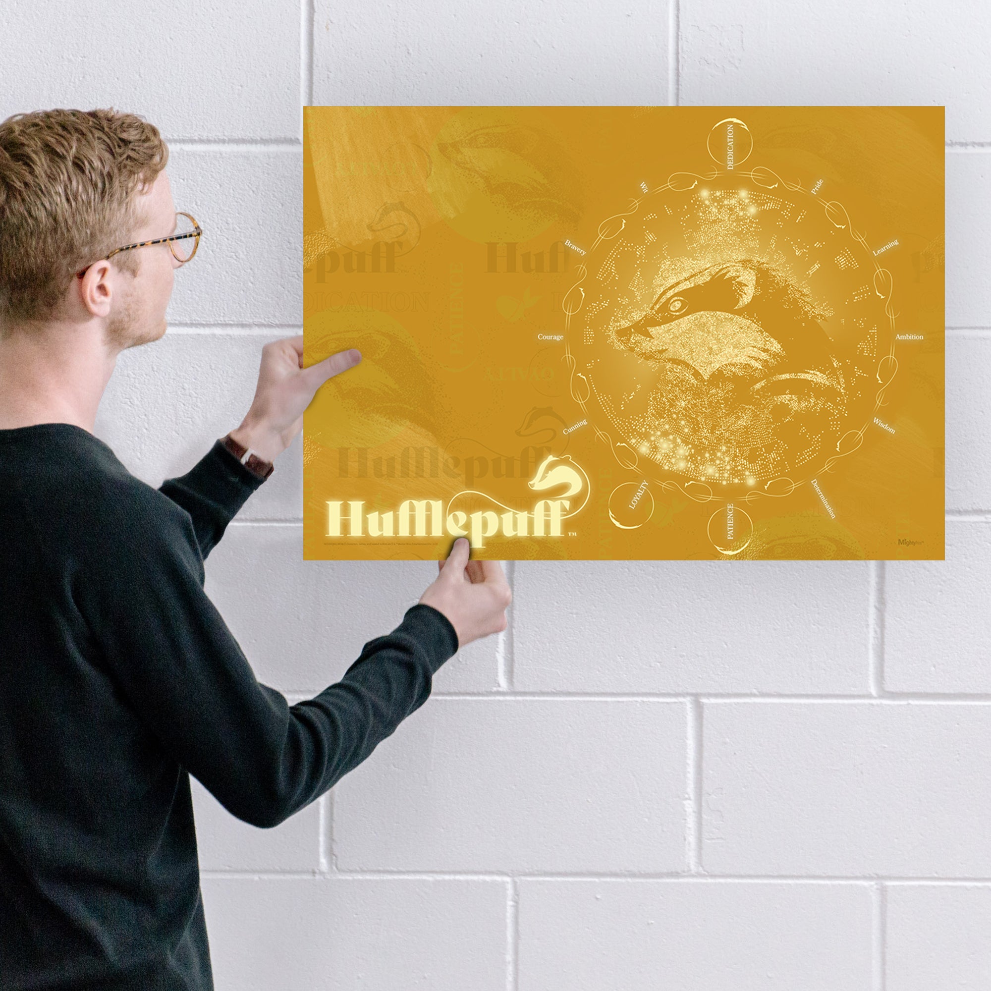 Harry Potter (Measure Your Magic - Hufflepuff) MightyPrint™ Wall Art MP24170909