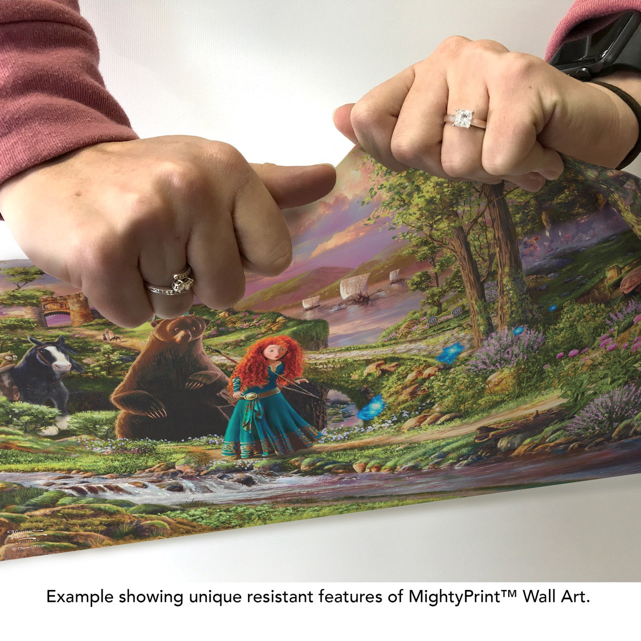 Disney (Brave) MightyPrint™ Wall Art MP24170936