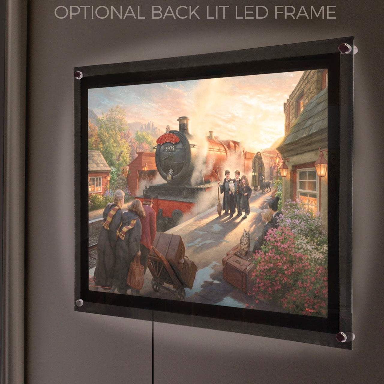 Harry Potter™ Thomas Kinkade Studios (Hogwarts Express™) MightyPrint Wall Art MP24170960