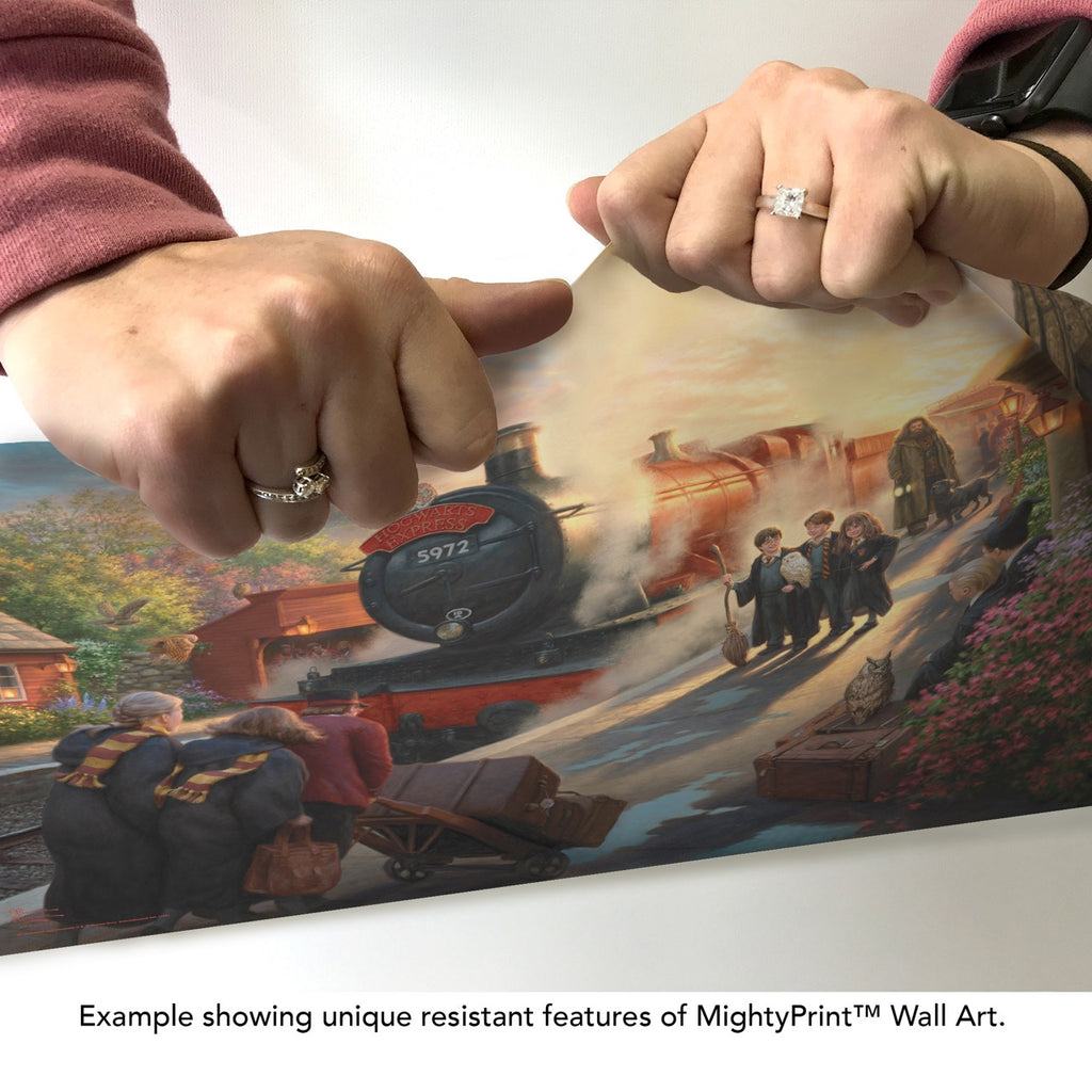 Harry Potter™ TKS (Hogwarts Express™) MightyPrint Wall Art MP24170960