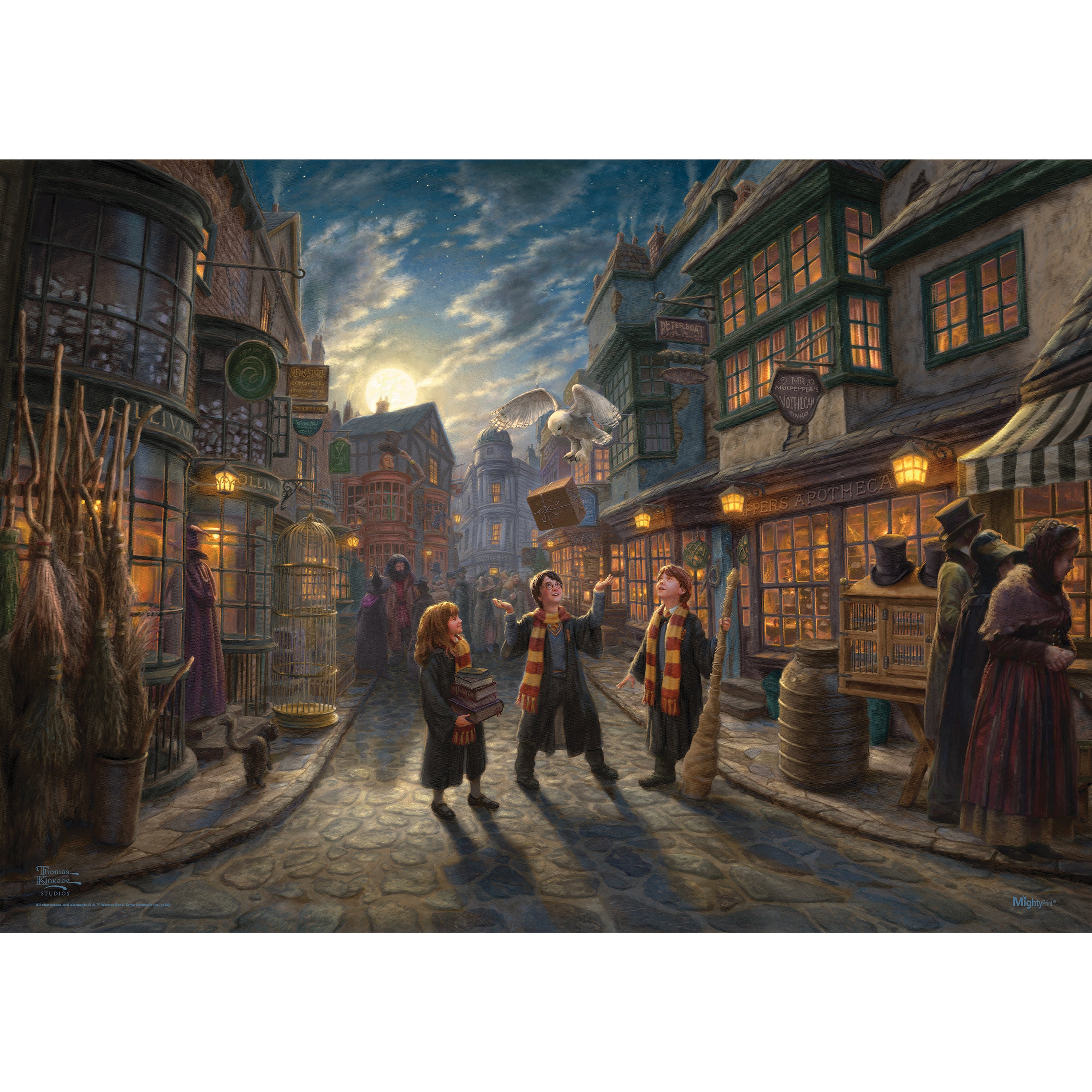 Harry Potter™ Thomas Kinkade Studios (Diagon Alley™) MightyPrint™ Wall Art MP24170961