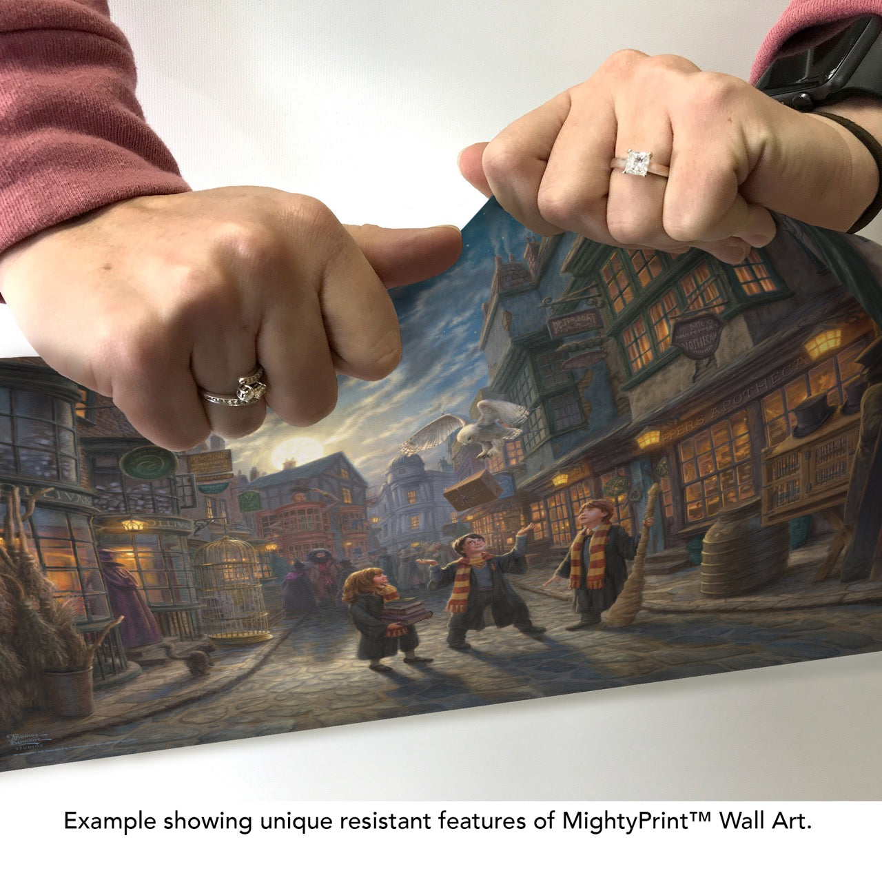 Harry Potter™ Thomas Kinkade Studios (Diagon Alley™) MightyPrint™ Wall Art MP24170961
