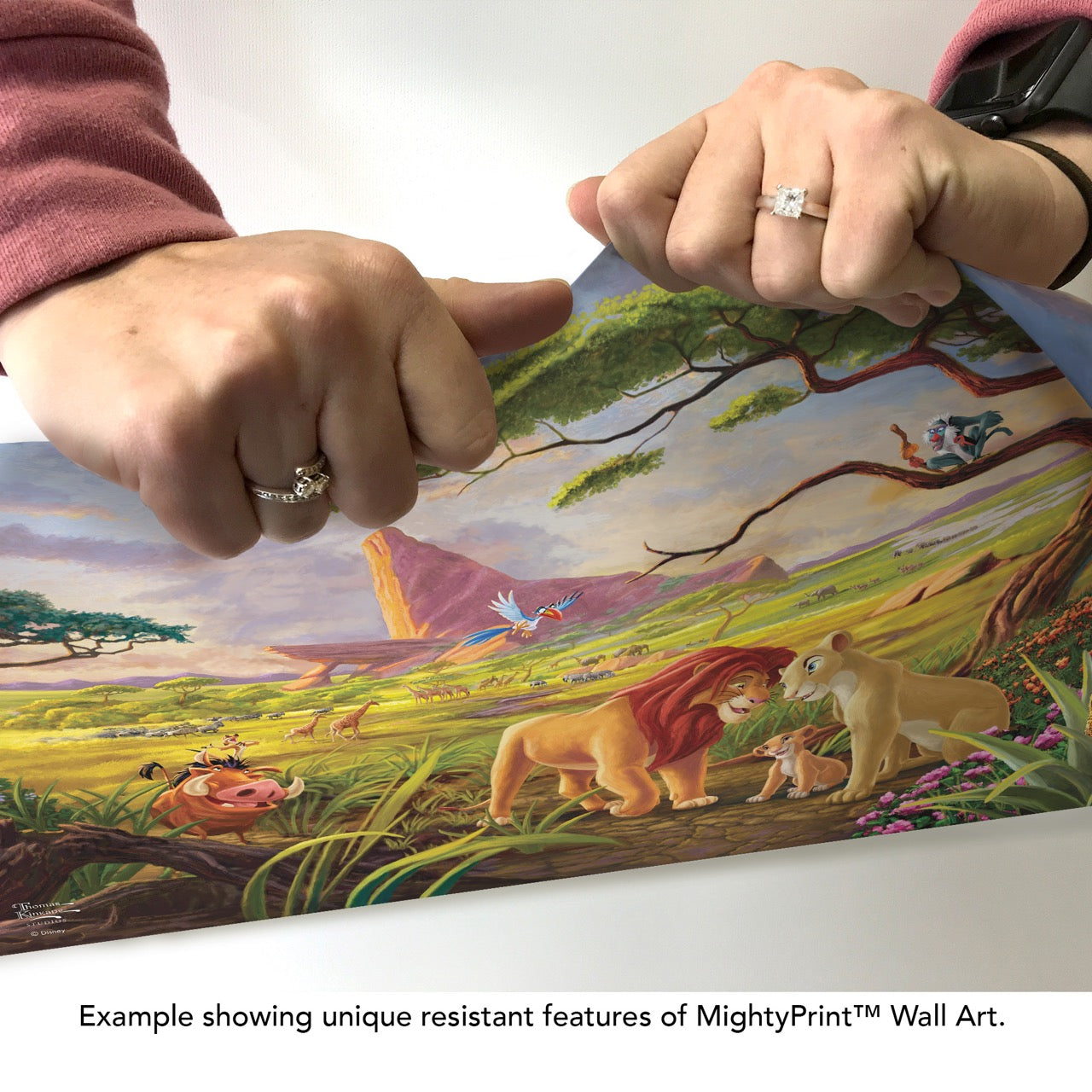 Disney (Remember Who You Are) MightyPrint™ Wall Art MP24170992