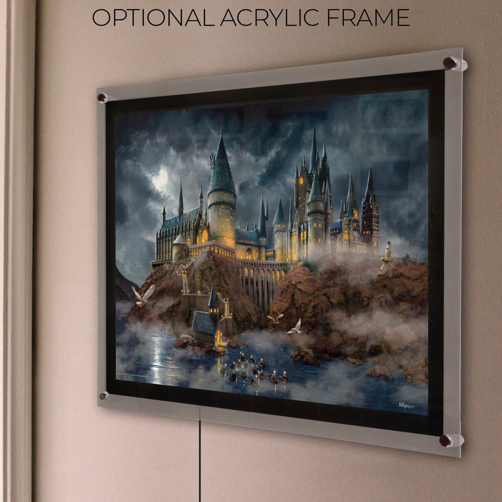 Harry Potter™ TKS (Hogwarts Castle) MightyPrint™ Wall Art MP24170997
