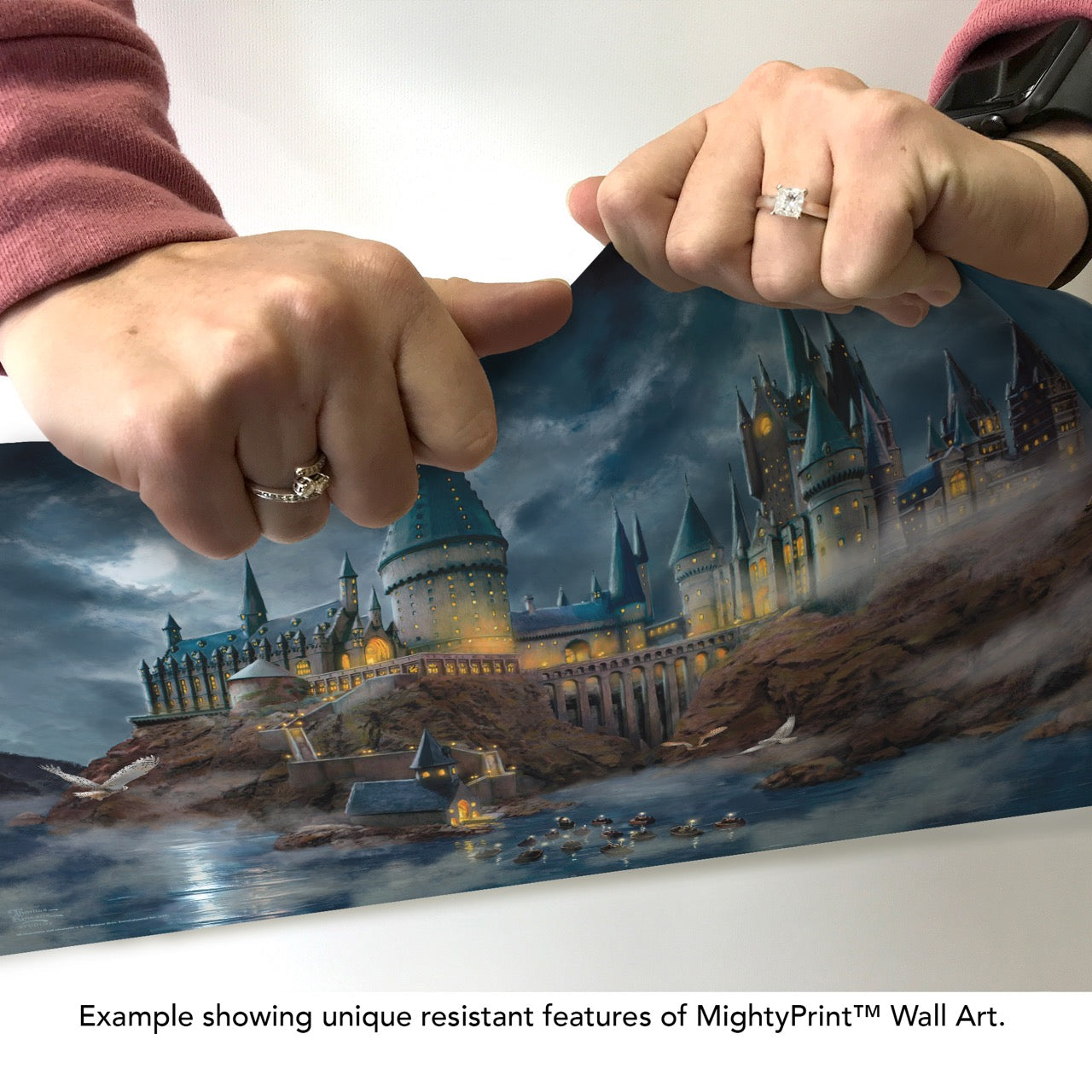 Harry Potter™ Thomas Kinkade Studios (Hogwarts Castle) MightyPrint™ Wall Art MP24170997