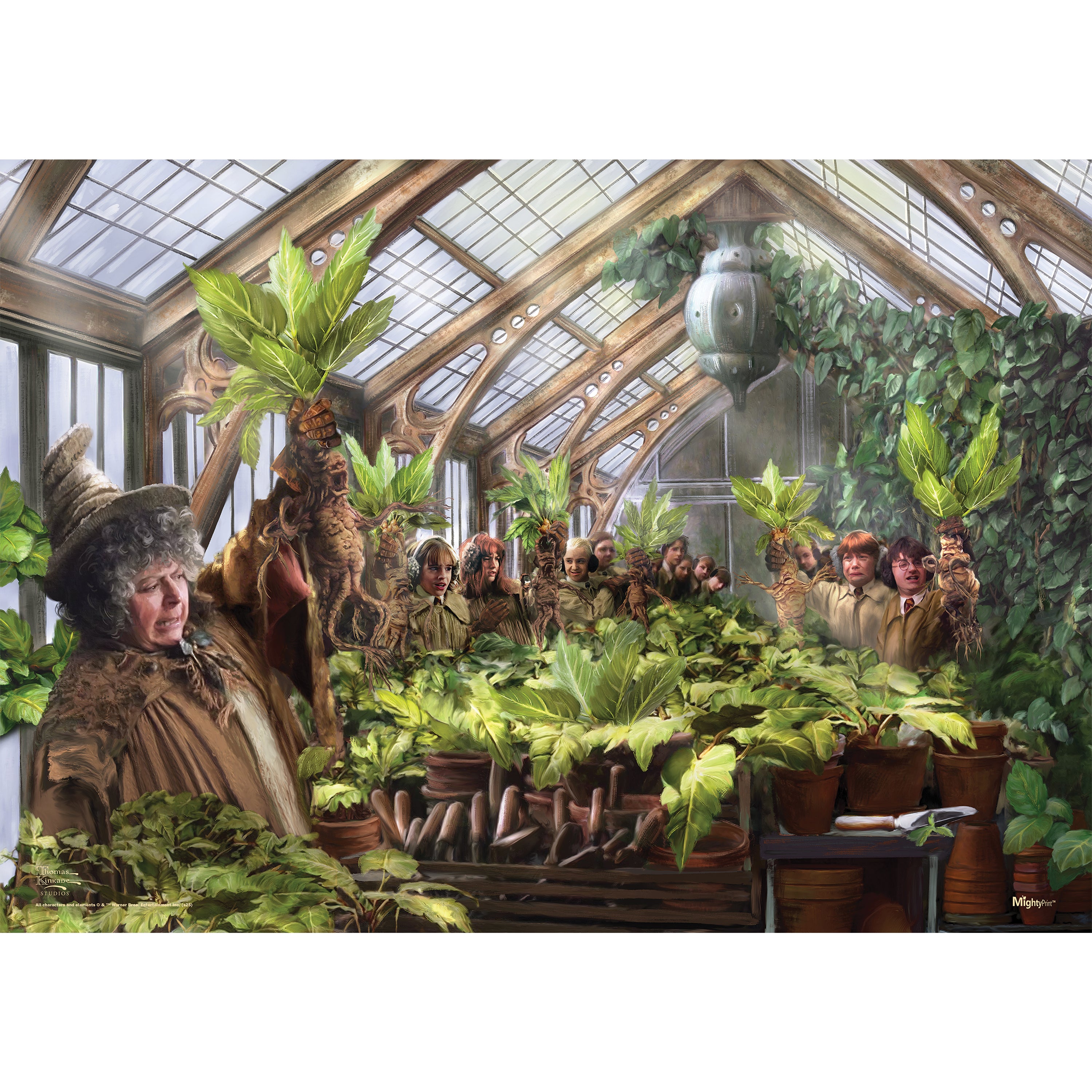 Harry Potter Thomas Kinkade Studios (Herbology Class) MightyPrint™ Wall Art MP24171032