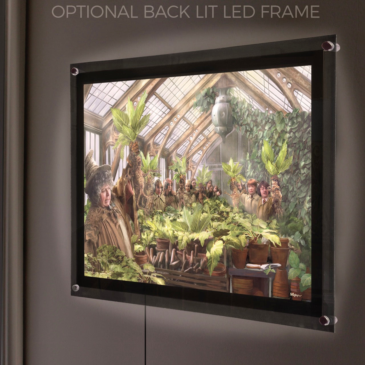 Harry Potter Thomas Kinkade Studios (Herbology Class) MightyPrint™ Wall Art MP24171032